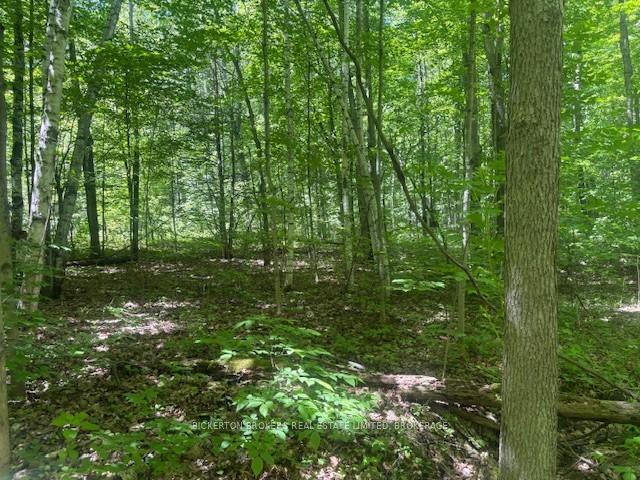 Photo 6 of 49 Cedar Sands Road, Rideau Lakes, Rideau Lakes (South Crosby) Twp — HOMEH