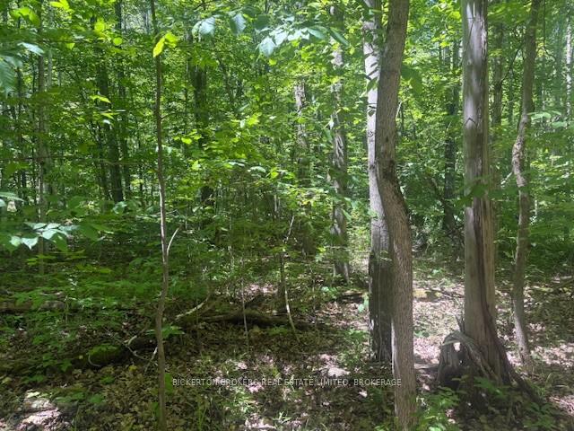 Photo 7 of 49 Cedar Sands Road, Rideau Lakes, Rideau Lakes (South Crosby) Twp — HOMEH