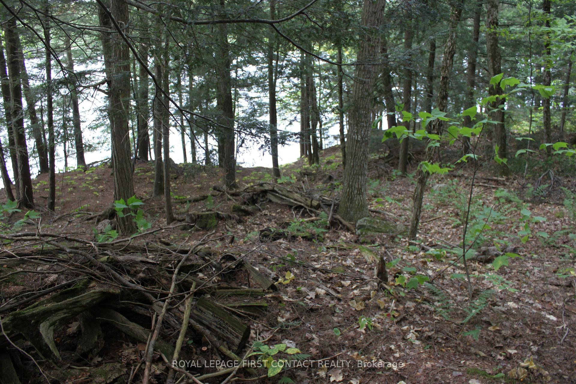 Photo 33 of 10 Healey Lake Road, The Archipelago, Archipelago South — HOMEH