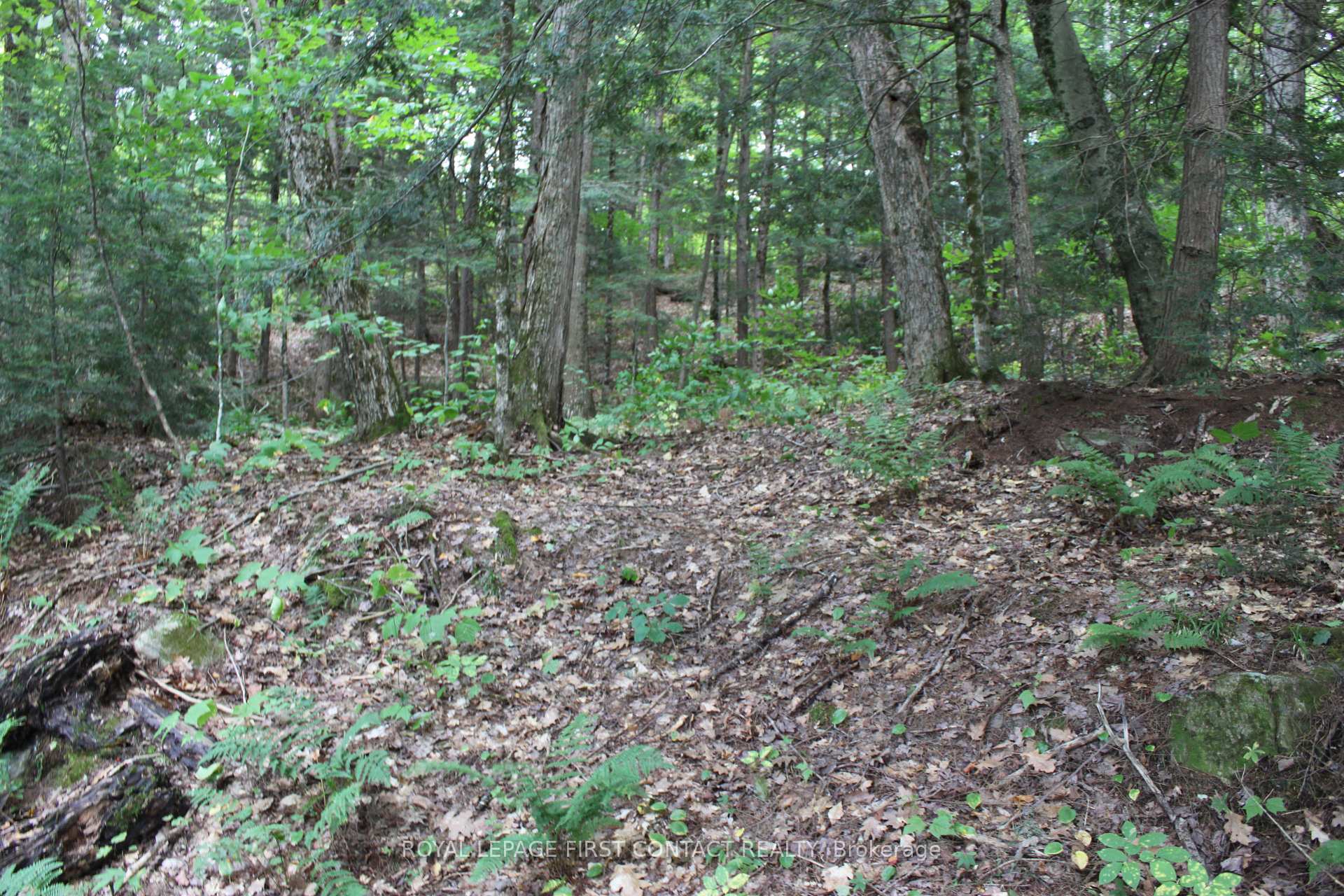 Photo 34 of 10 Healey Lake Road, The Archipelago, Archipelago South — HOMEH