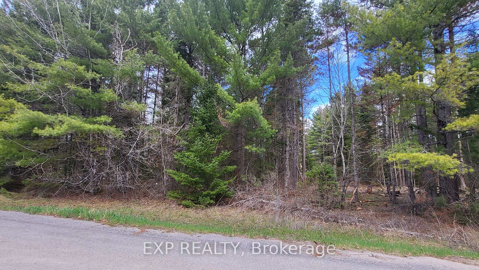 Photo 3 of Ginza Street, Greater Madawaska, Greater Madawaska — HOMEH