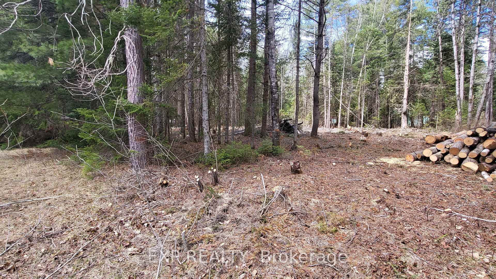 Photo 5 of Ginza Street, Greater Madawaska, Greater Madawaska — HOMEH