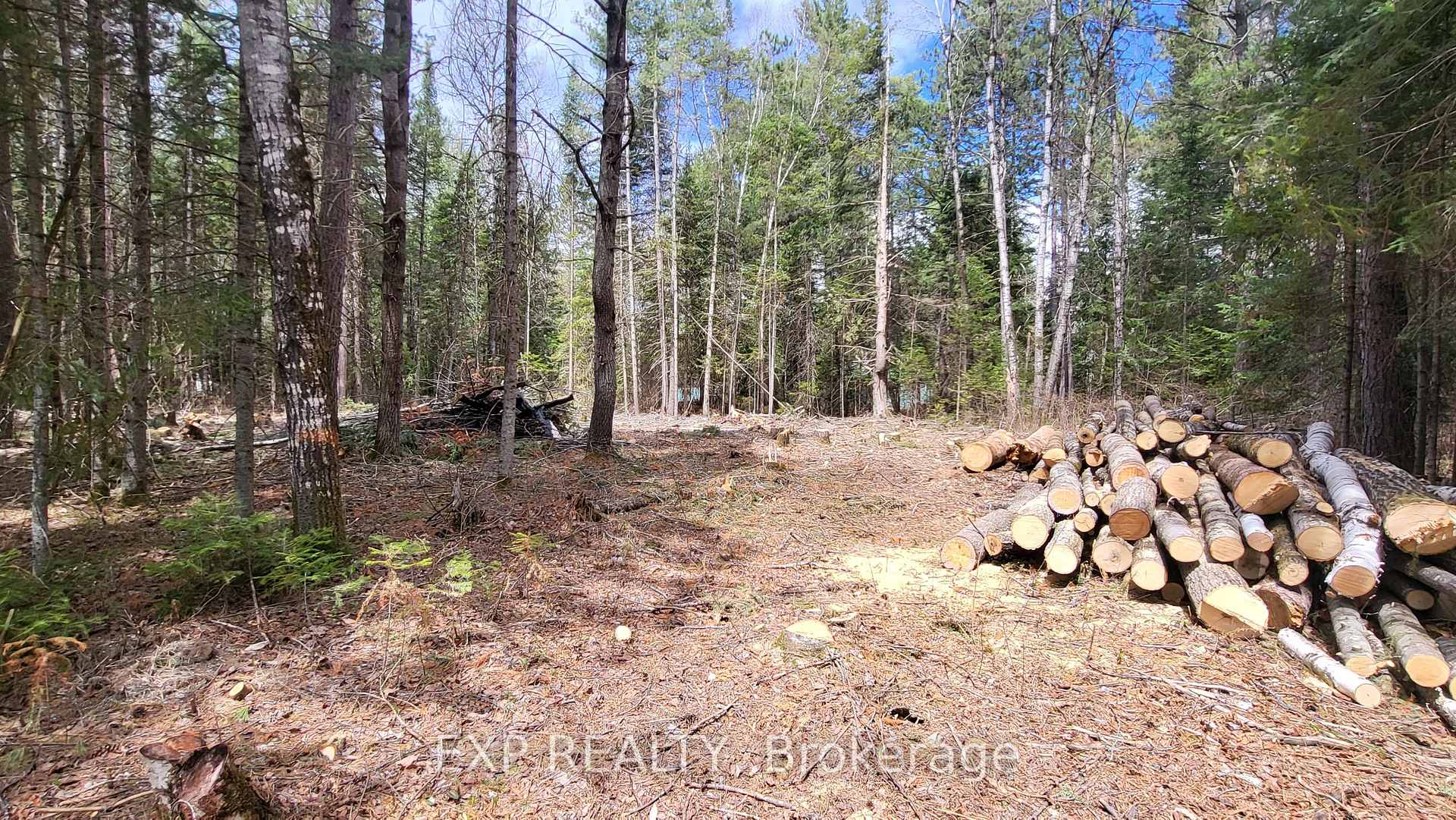 Photo 8 of Ginza Street, Greater Madawaska, Greater Madawaska — HOMEH