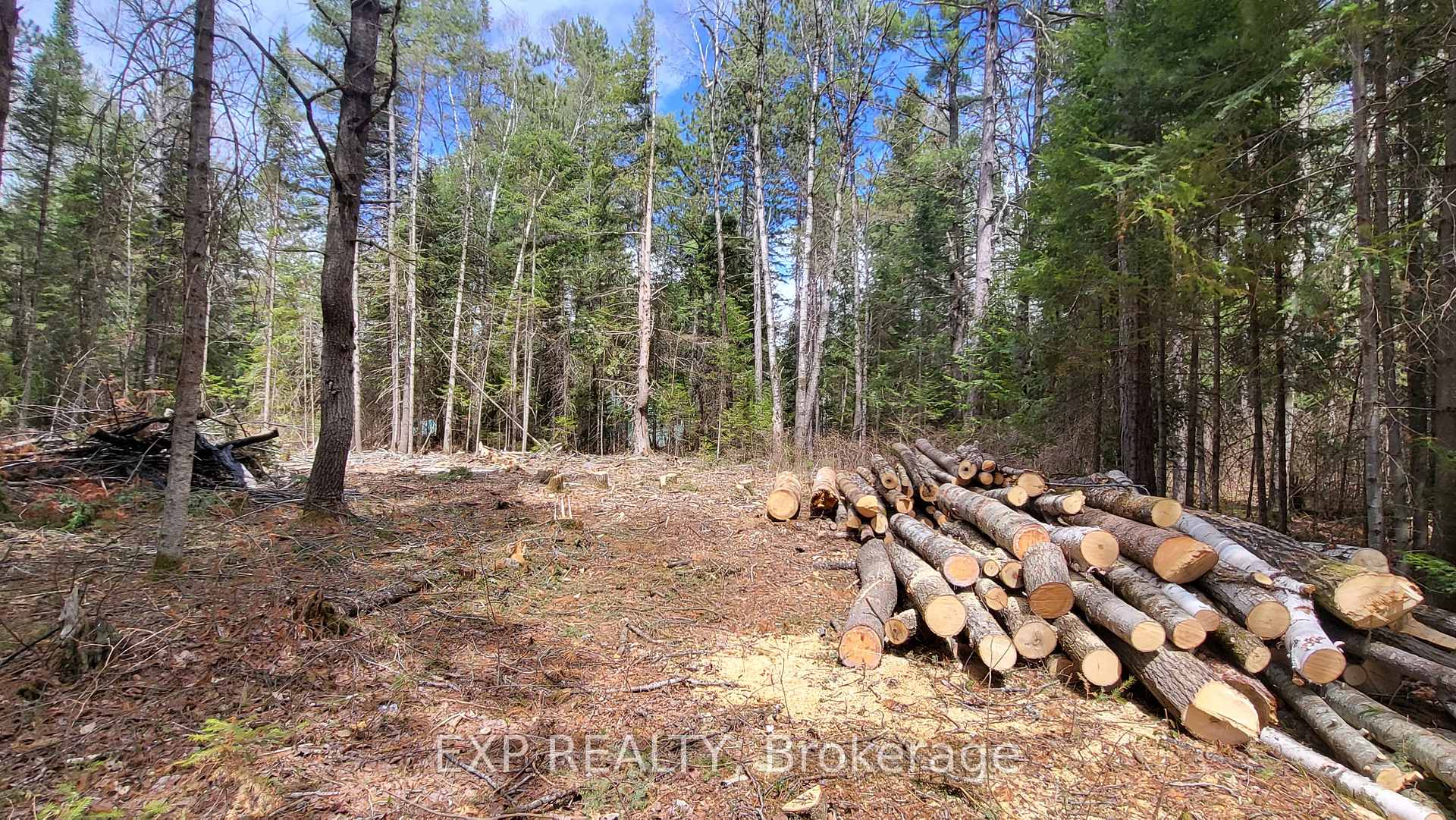 Photo 9 of Ginza Street, Greater Madawaska, Greater Madawaska — HOMEH