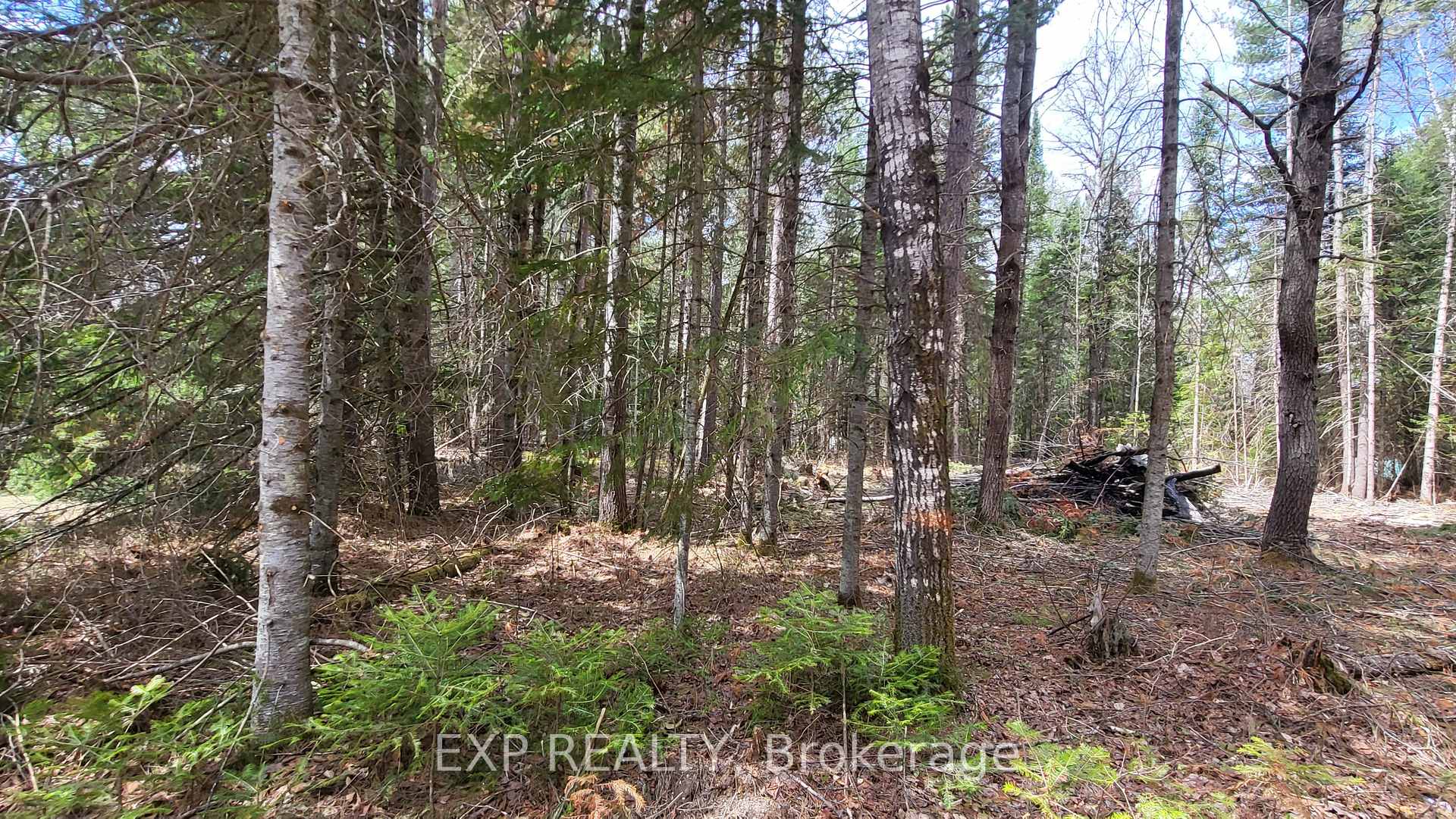 Photo 11 of Ginza Street, Greater Madawaska, Greater Madawaska — HOMEH