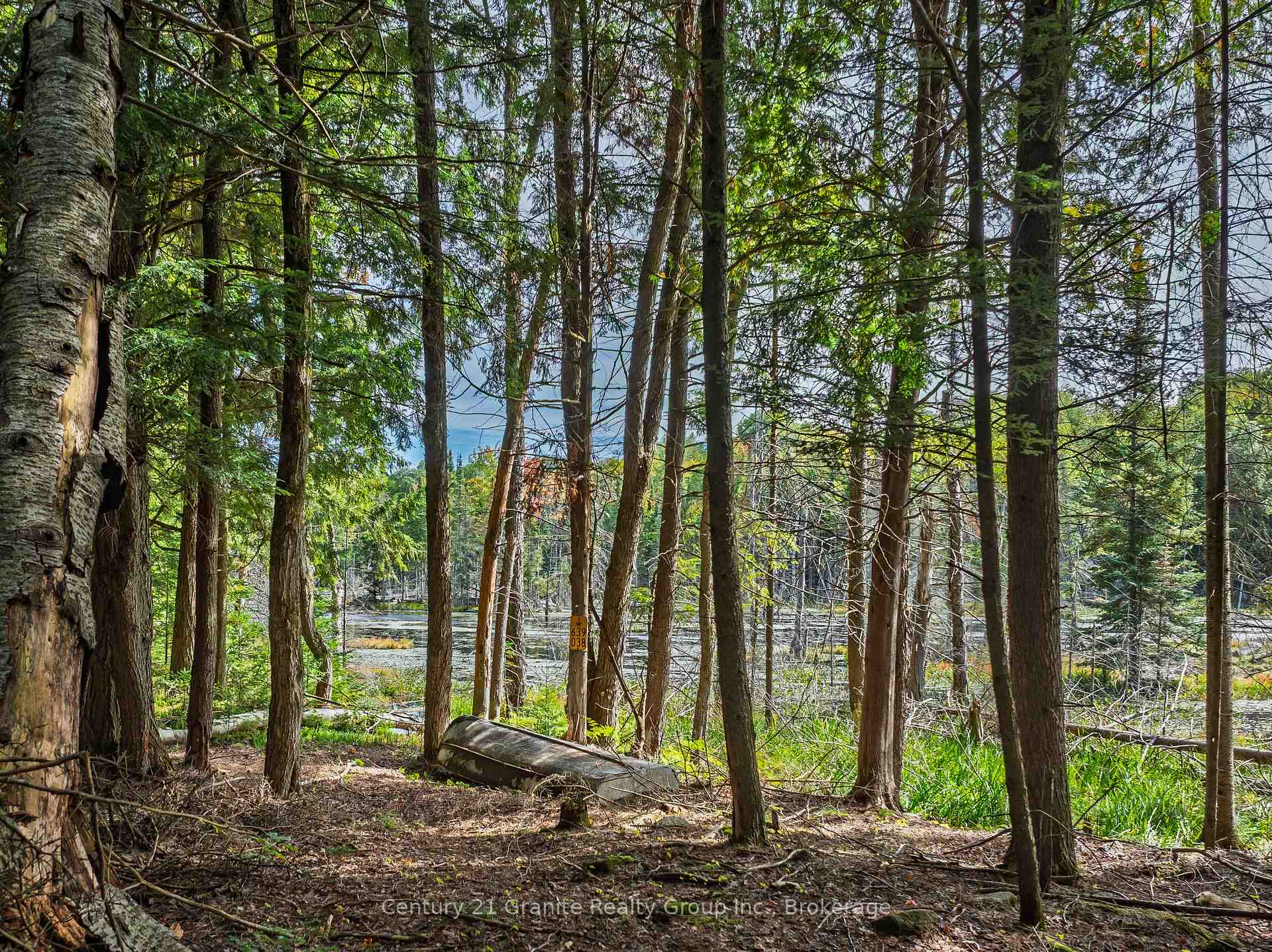 Photo 34 of 1453 Fleming Road, Minden Hills, Anson — HOMEH