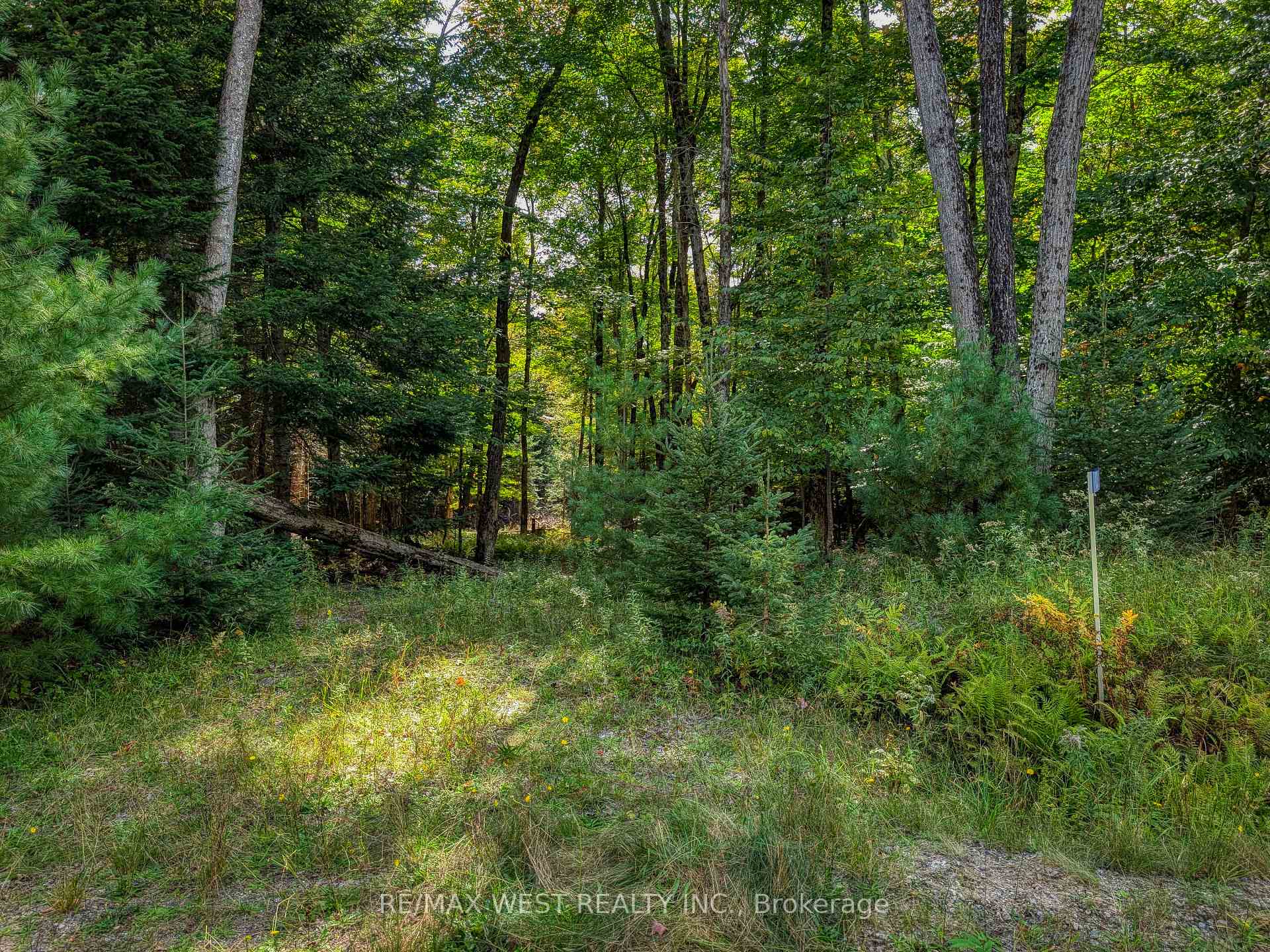 Photo 3 of 131 Deerfoot Trail, Huntsville, Brunel — HOMEH