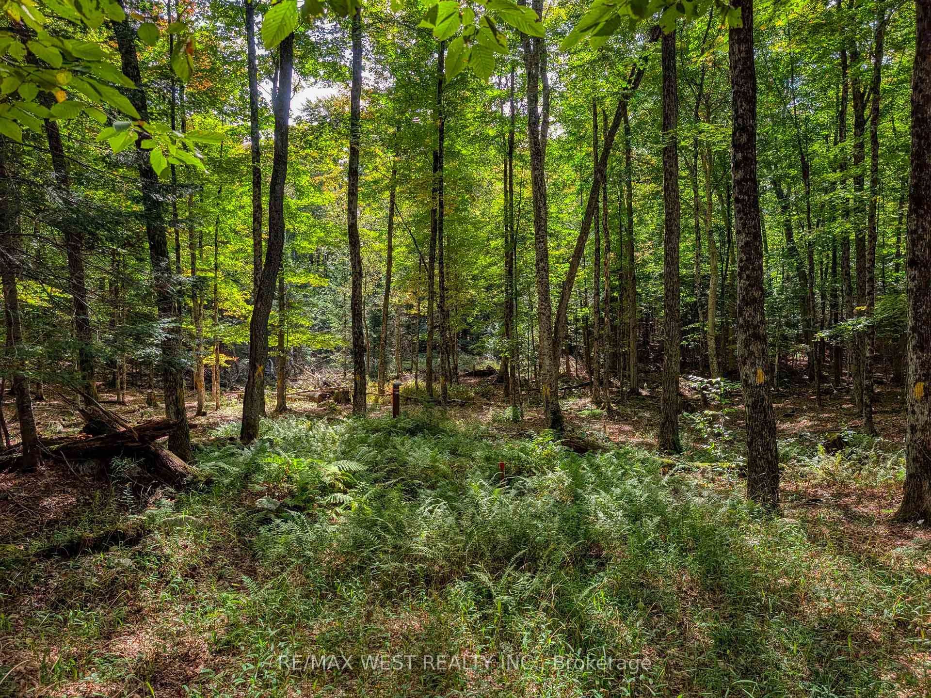 Photo 5 of 131 Deerfoot Trail, Huntsville, Brunel — HOMEH