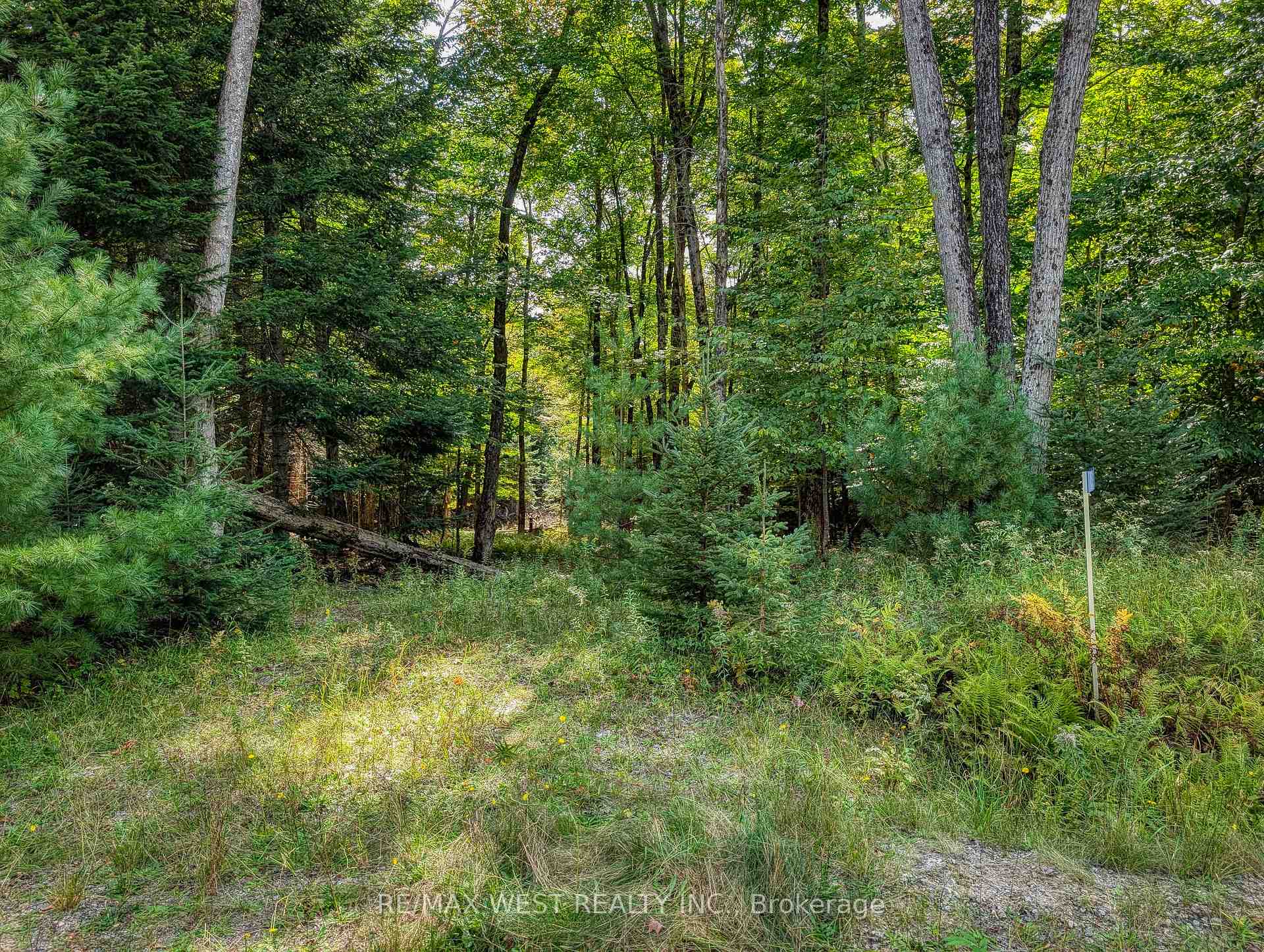 Photo 4 of 131 Deerfoot Trail, Huntsville, Brunel — HOMEH