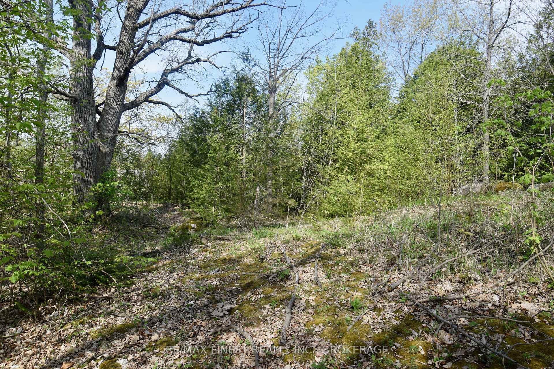Photo 6 of Lot 3 Ballantra Drive, Stone Mills, Stone Mills — HOMEH