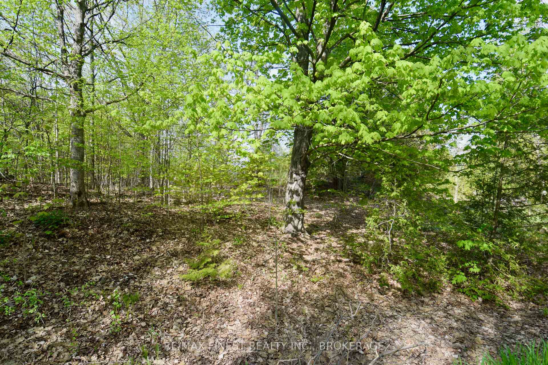 Photo 8 of Lot 3 Ballantra Drive, Stone Mills, Stone Mills — HOMEH