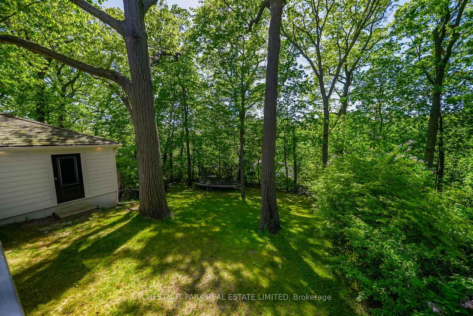 Photo 35 of 56 Pine Crescent, Toronto, The Beaches — HOMEH
