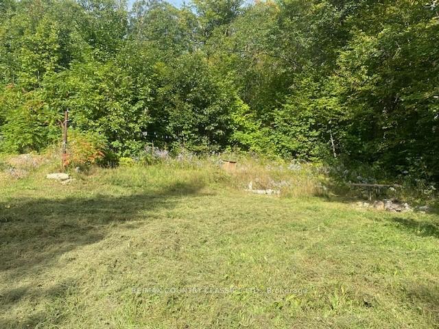 Photo 5 of 132 Trout Lake Road, Faraday — HOMEH
