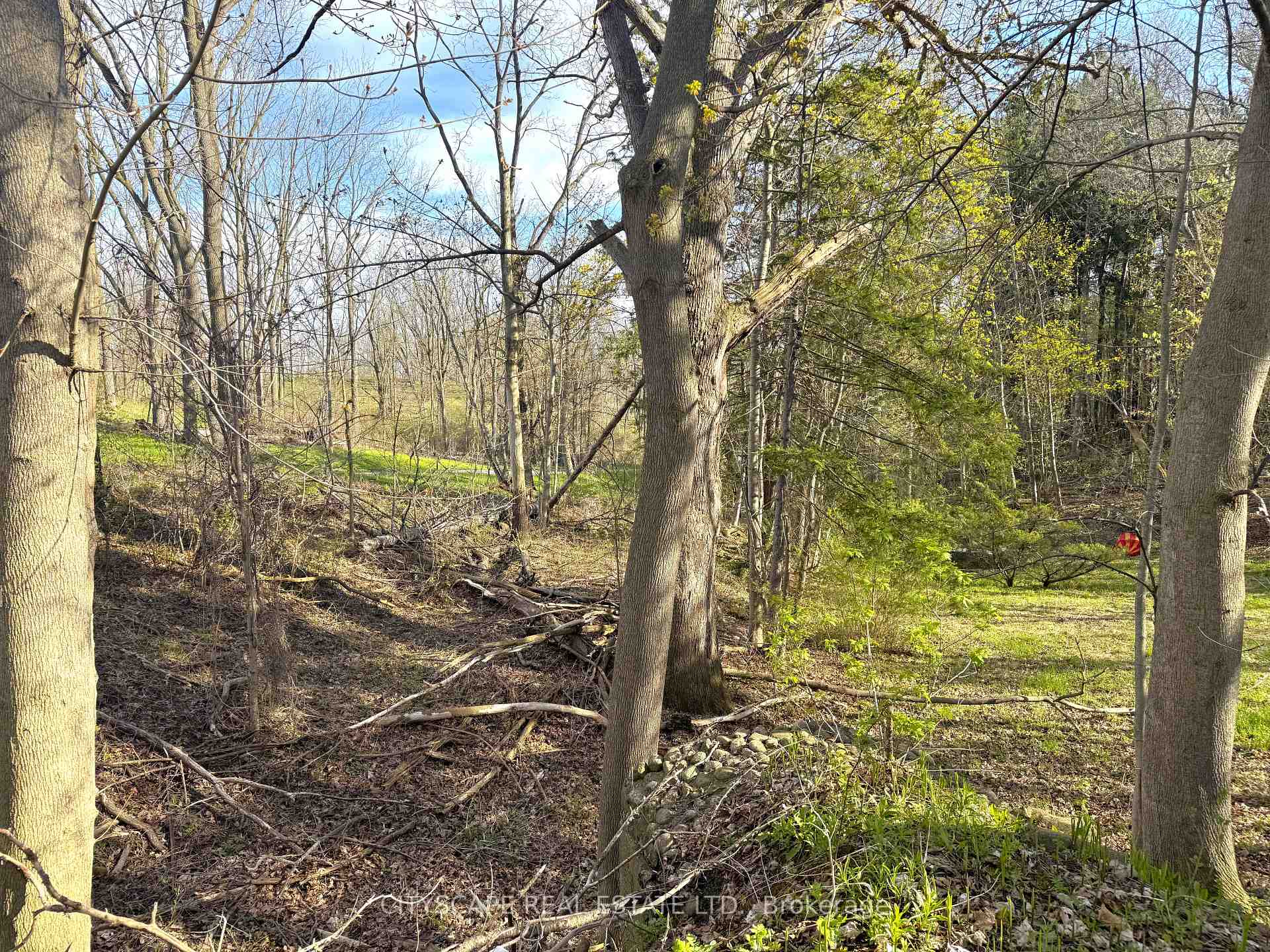 Photo 38 of 15 Humberstone Avenue, Brantford, Echo Place — HOMEH