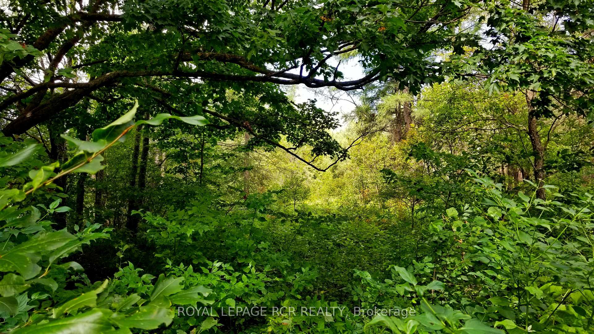 Photo 3 of Lot 31 9 County Road, Melancthon, Rural Melancthon — HOMEH