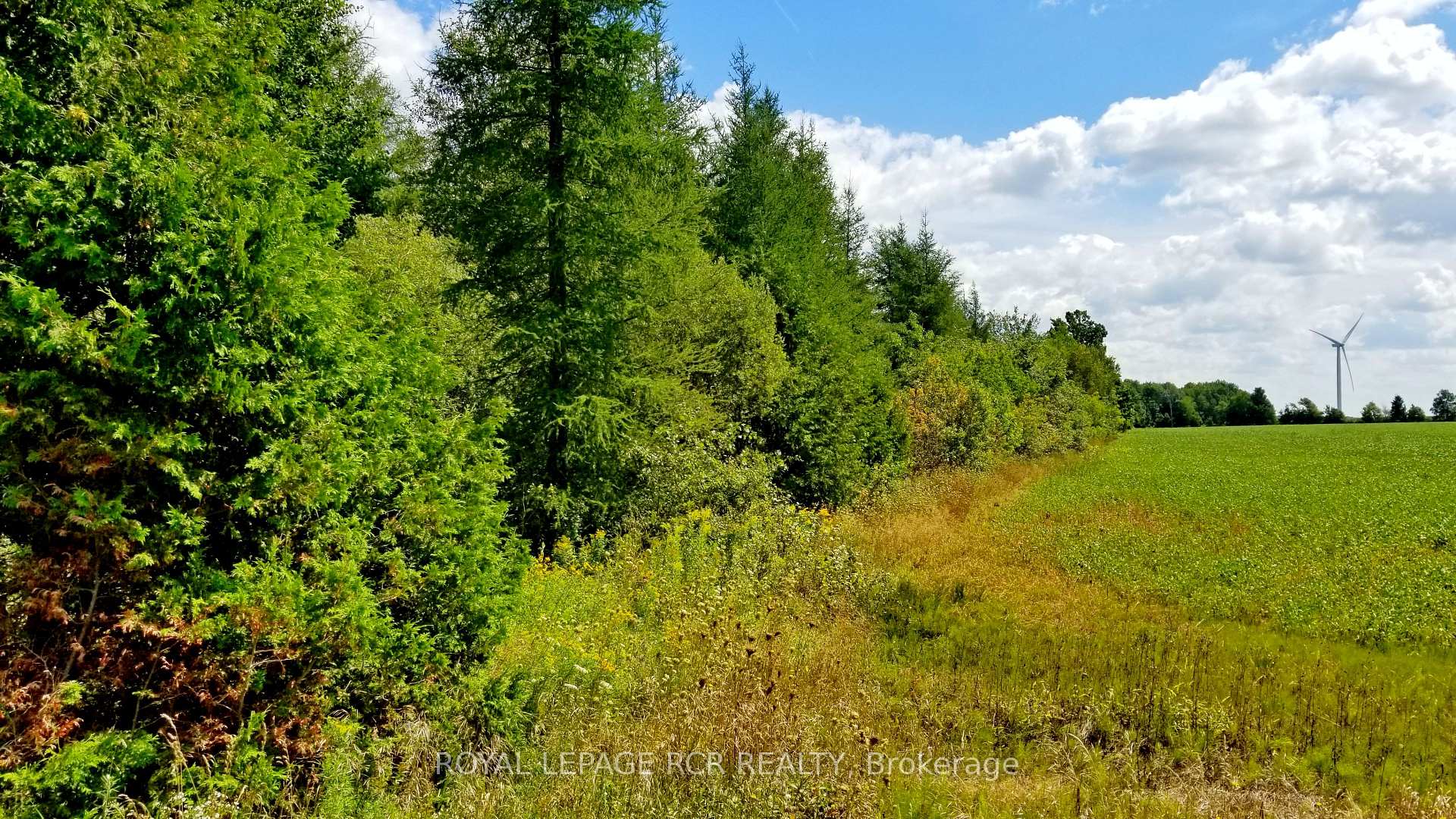 Photo 4 of Lot 31 9 County Road, Melancthon, Rural Melancthon — HOMEH