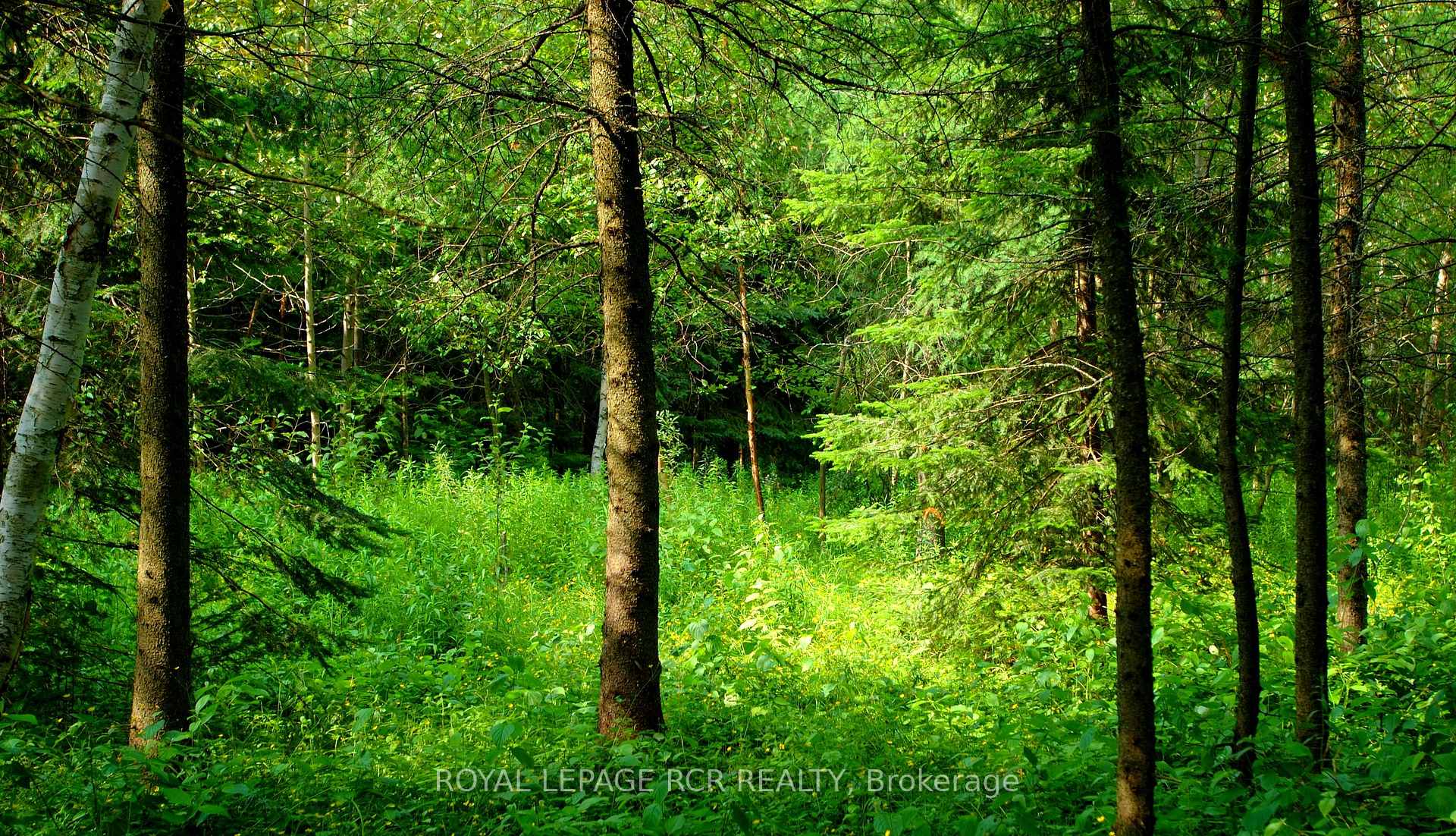 Photo 6 of Lot 31 9 County Road, Melancthon, Rural Melancthon — HOMEH