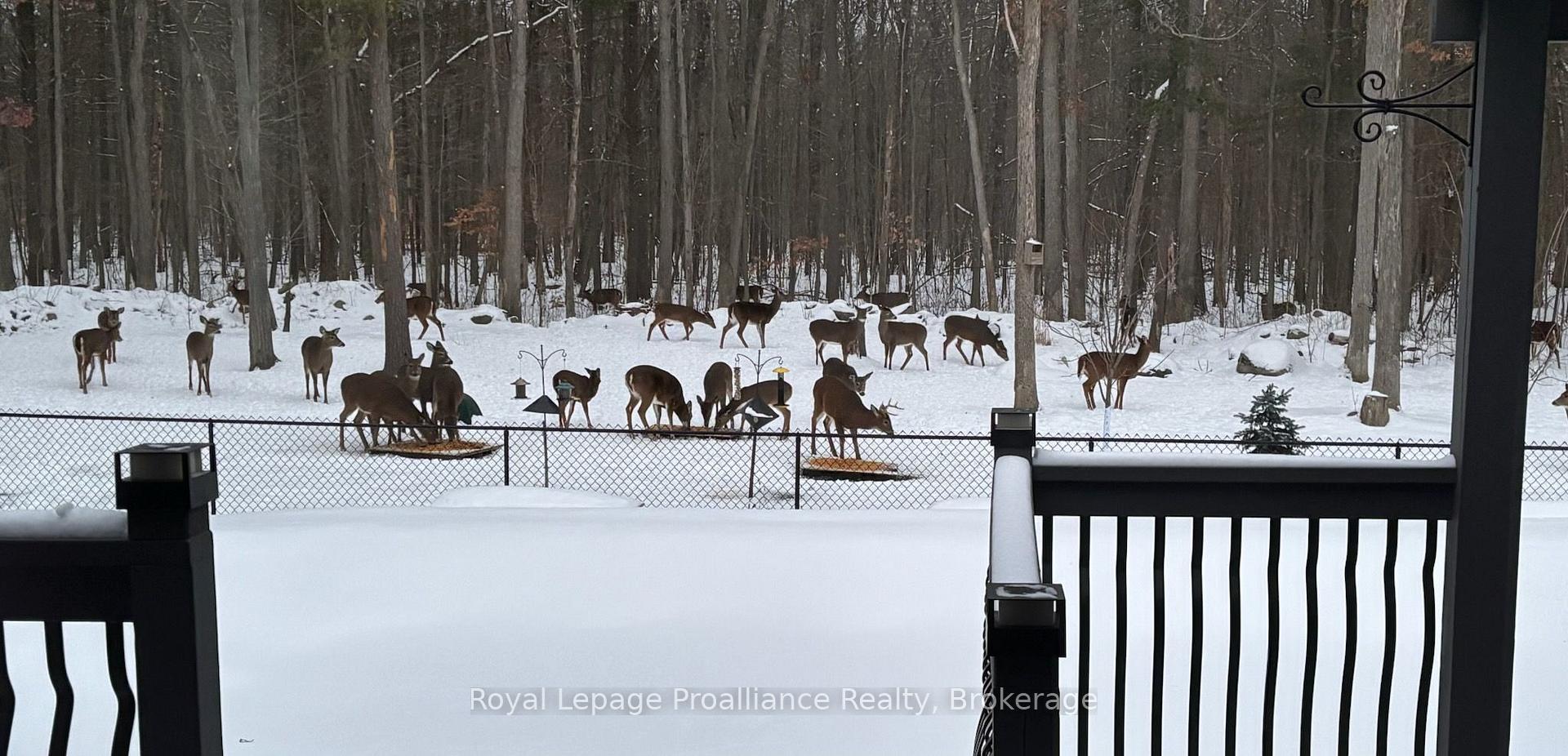 Photo 45 of 52 Oak Ridge Drive, Quinte West, Sidney Ward — HOMEH