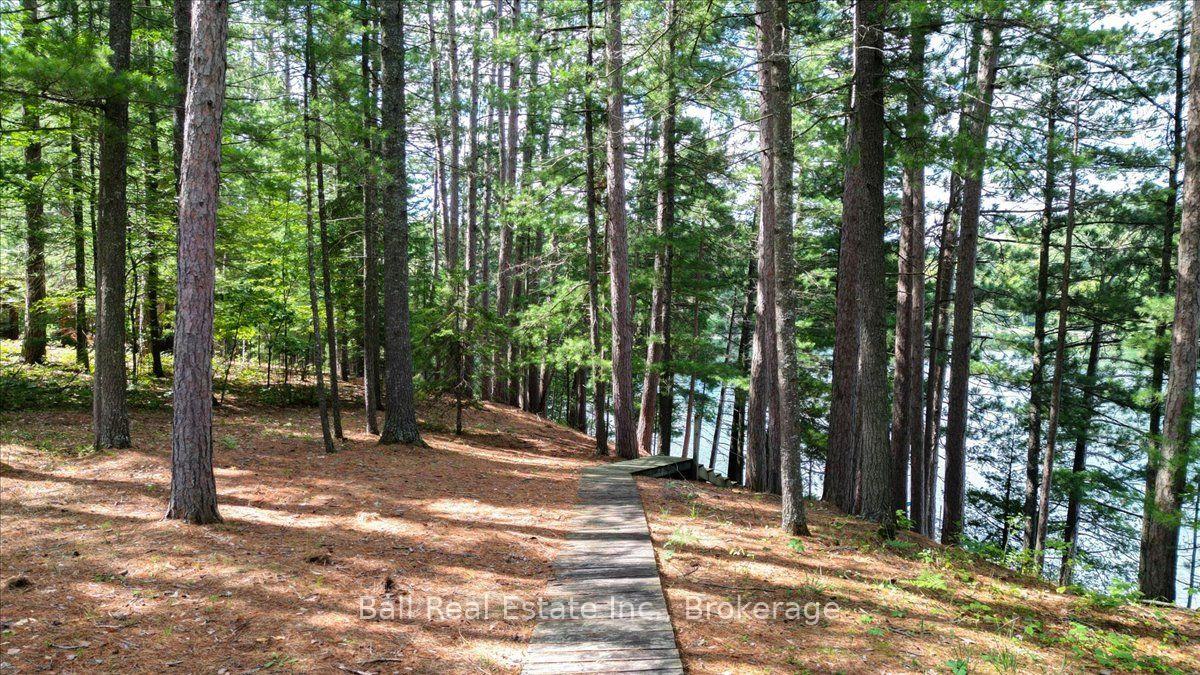 Photo 10 of 21 Lucerne Lake Drive, Faraday — HOMEH