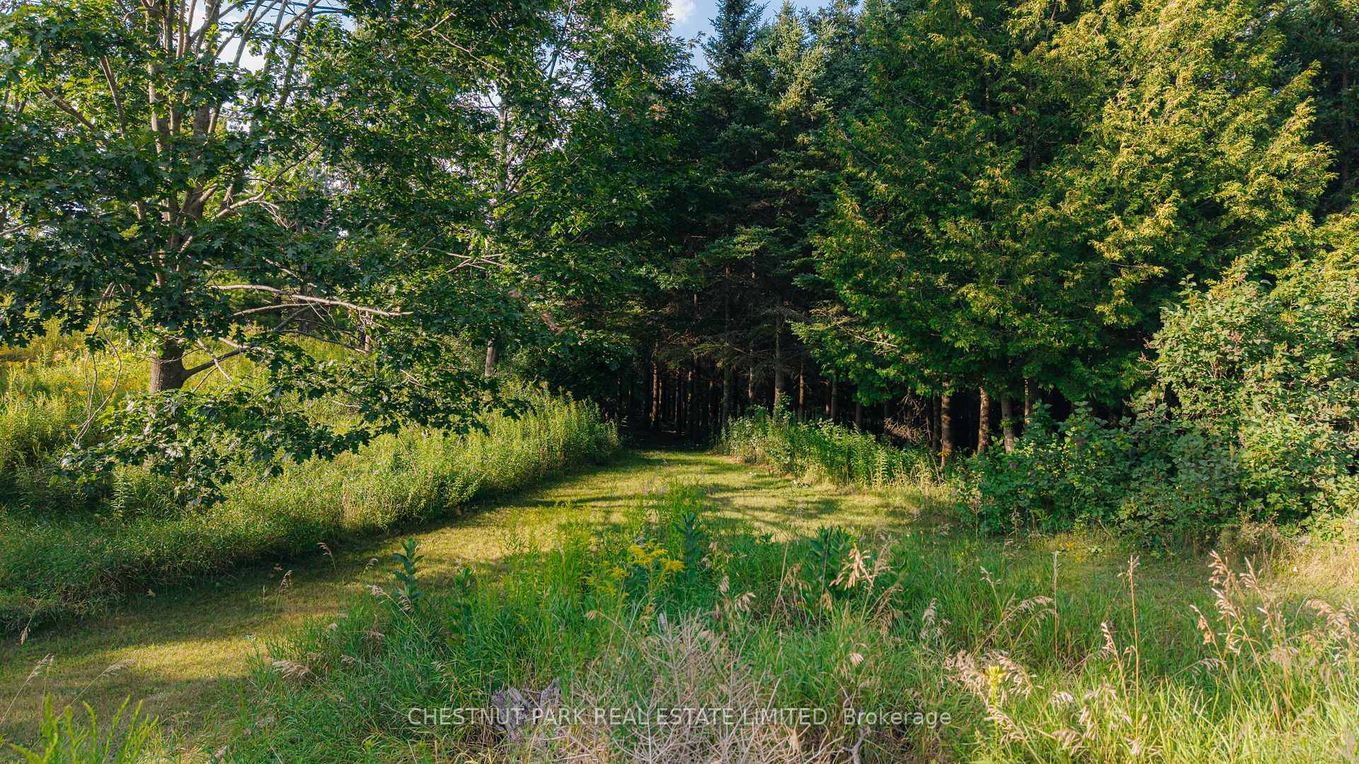 Photo 48 of 875644 5th Line Ehs, Mono, Rural Mono — HOMEH