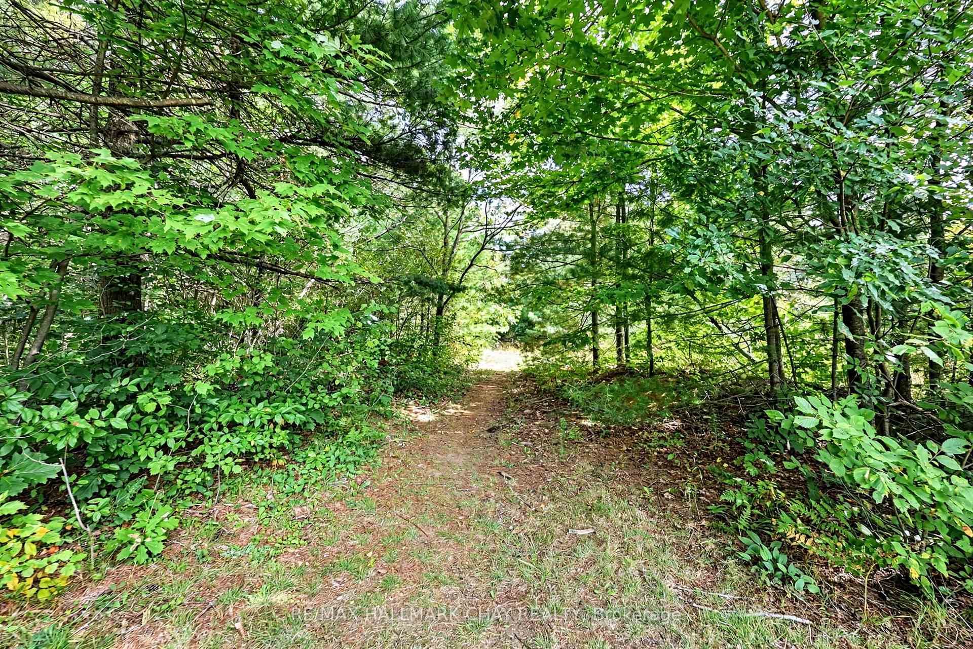 Photo 42 of 1194 Winhara Road, Gravenhurst, Muskoka (S) — HOMEH
