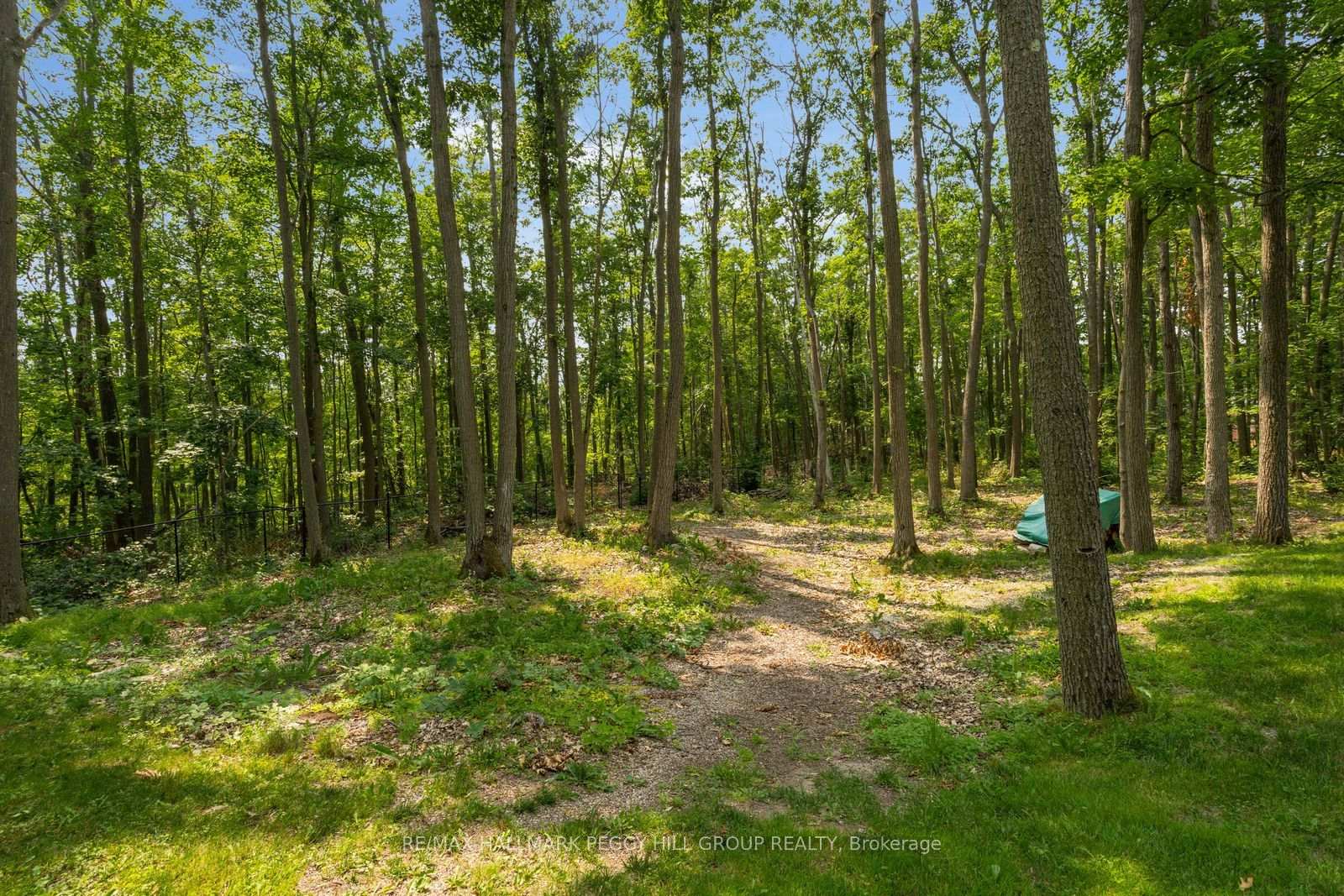 Photo 20 of 6 Maplehill Drive, Oro-Medonte, Rural Oro-Medonte — HOMEH