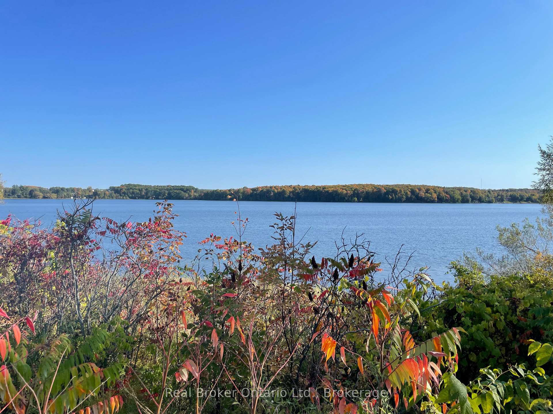Photo 41 of 438 Shewfelt Crescent, Midland — HOMEH