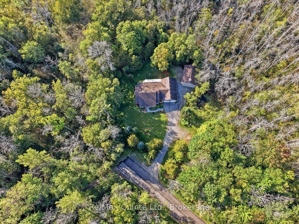 Photo 46 of 14 Martin Road, Brighton, Rural Brighton — HOMEH