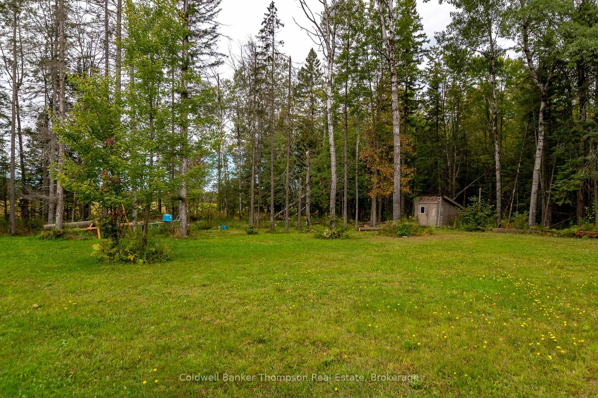 Photo 33 of 1346 Aspdin Road, Huntsville, Stisted — HOMEH