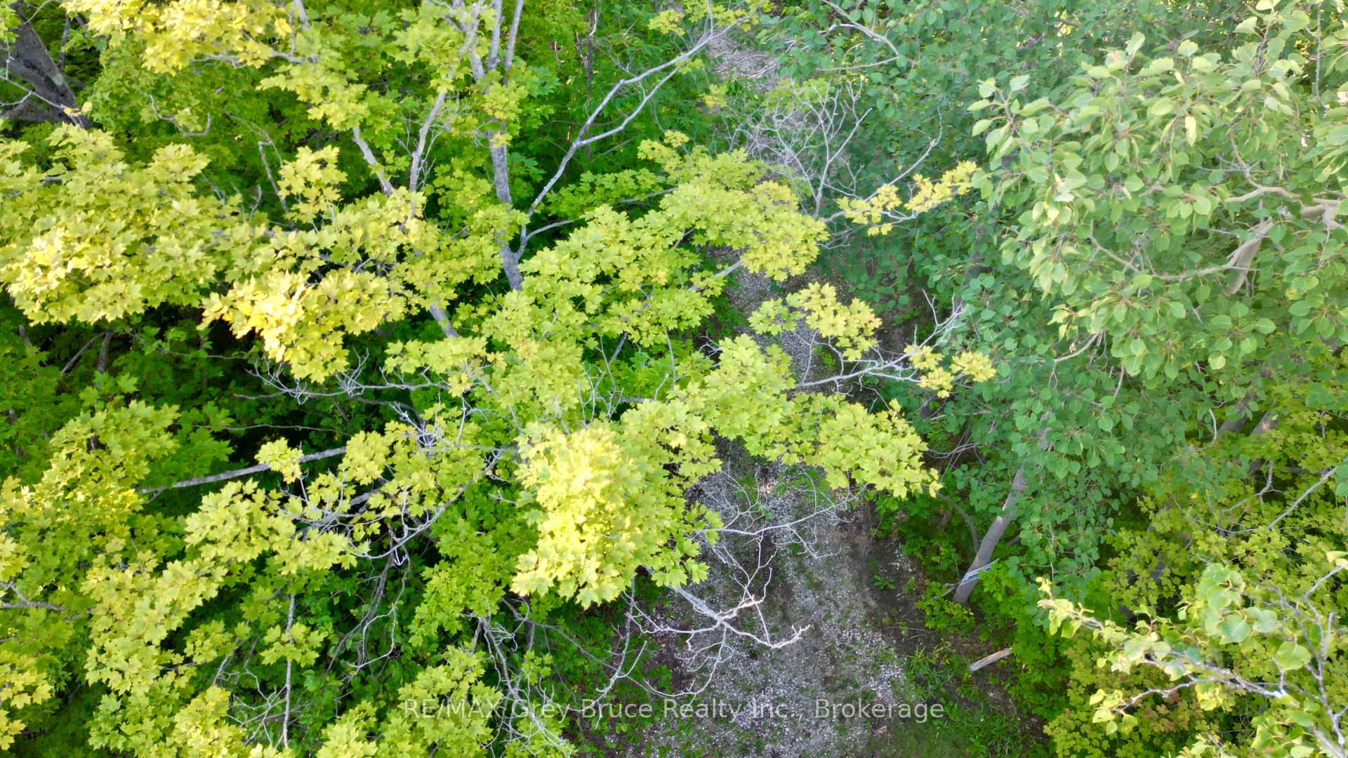 Photo 43 of 279 Barney's Boulevard, Northern Bruce Peninsula — HOMEH