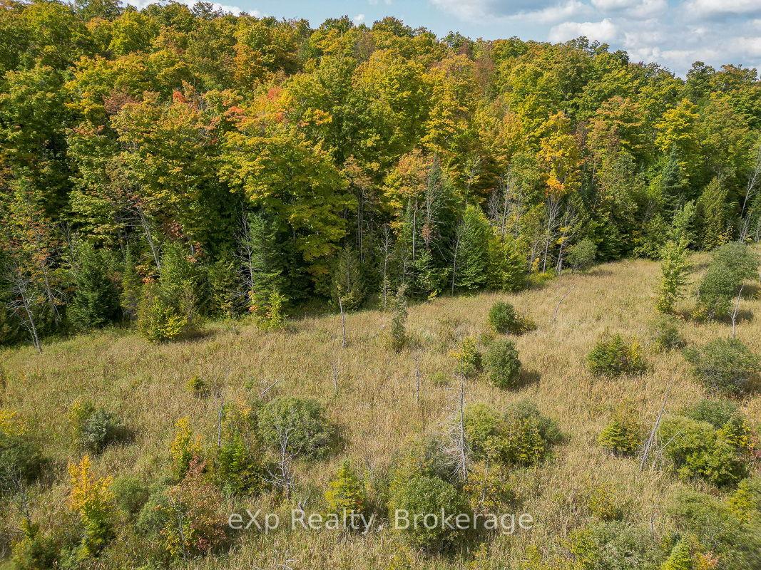 Photo 9 of PT LT 15 Baseline Road, West Grey — HOMEH