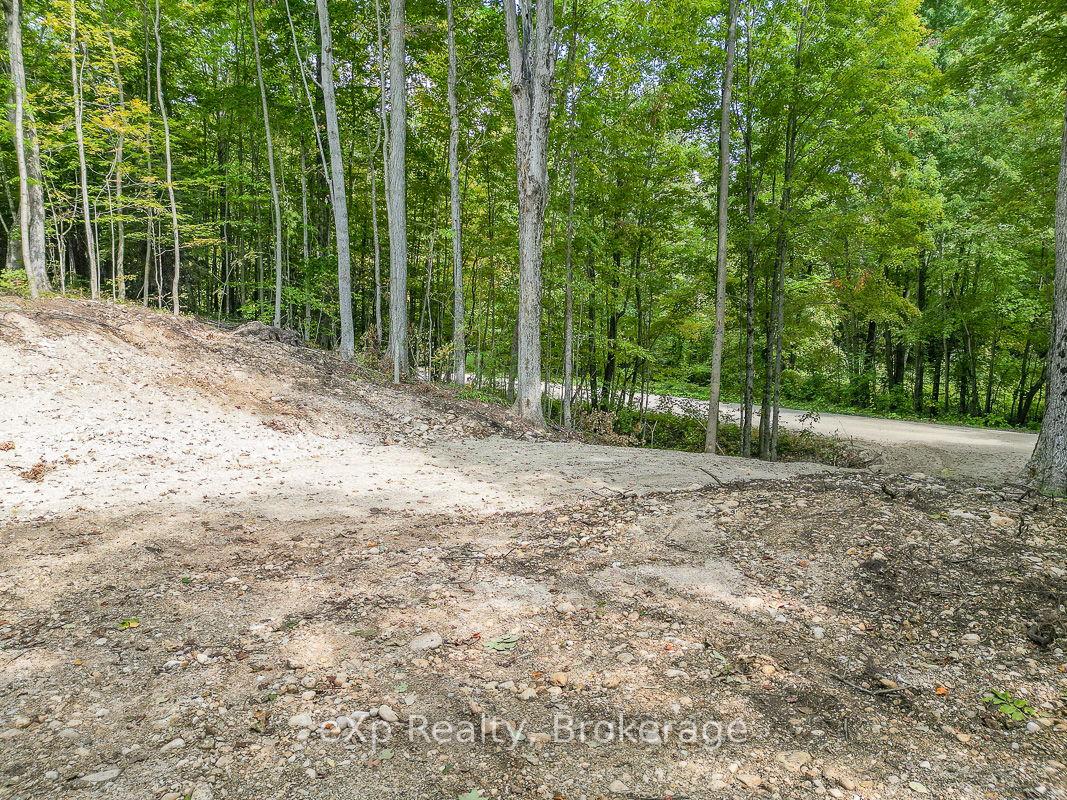 Photo 13 of PT LT 15 Baseline Road, West Grey — HOMEH