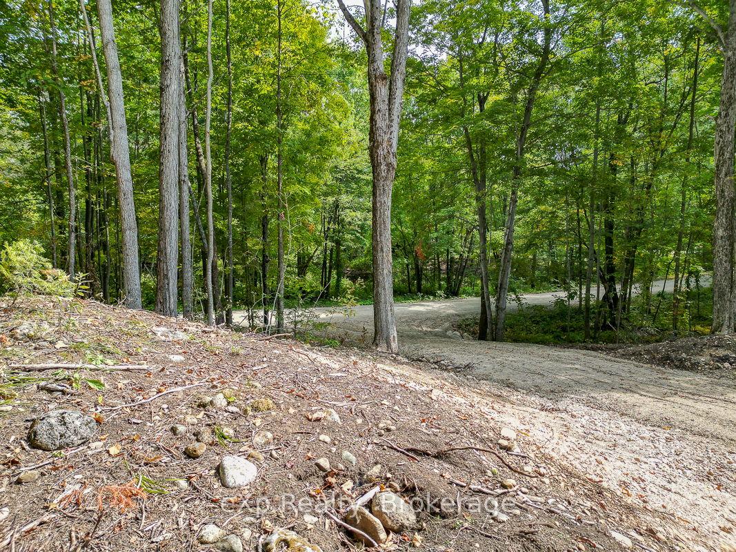 Photo 15 of PT LT 15 Baseline Road, West Grey — HOMEH