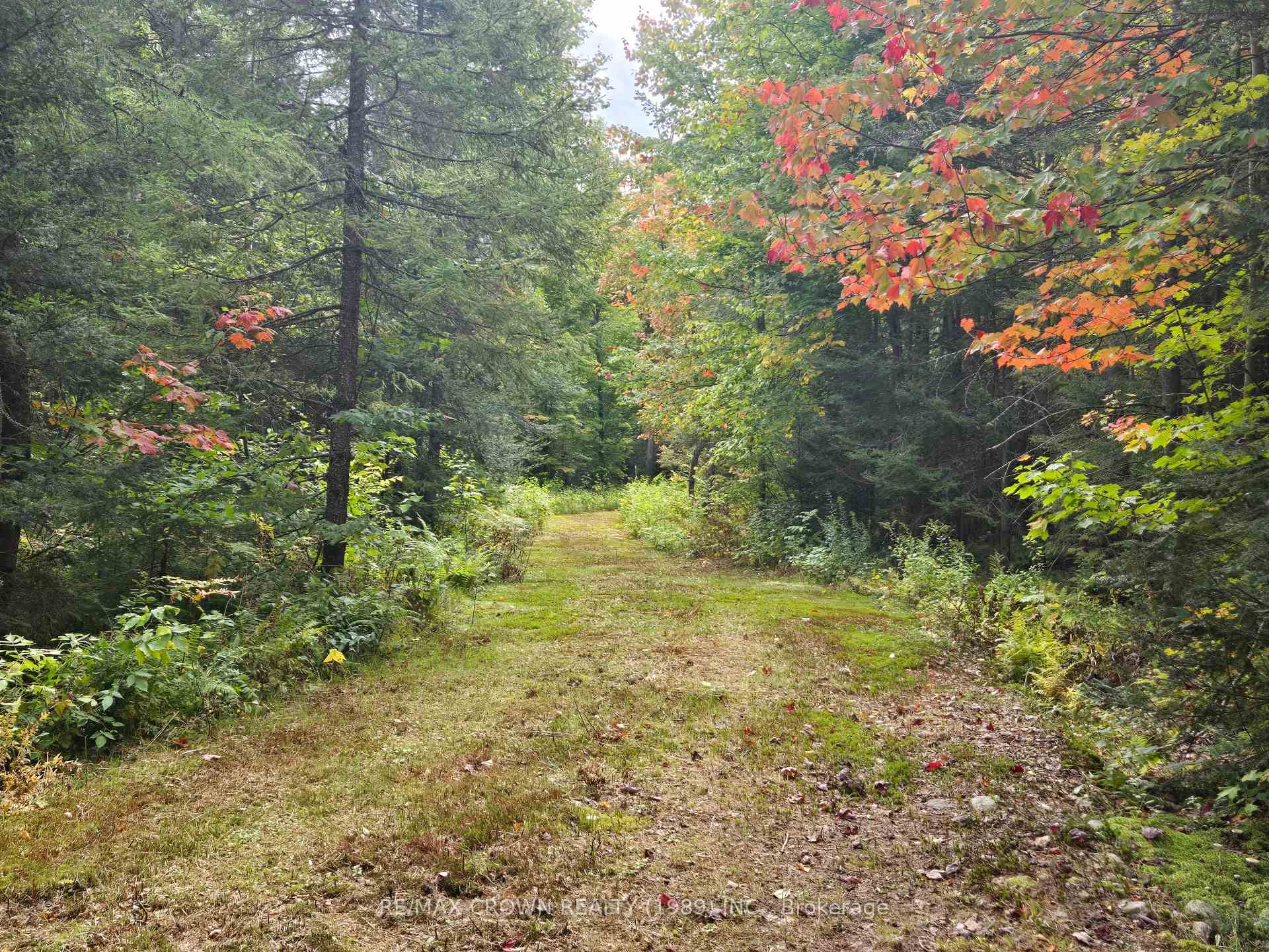 Photo 2 of 135 Simpson Hill Road, Machar — HOMEH