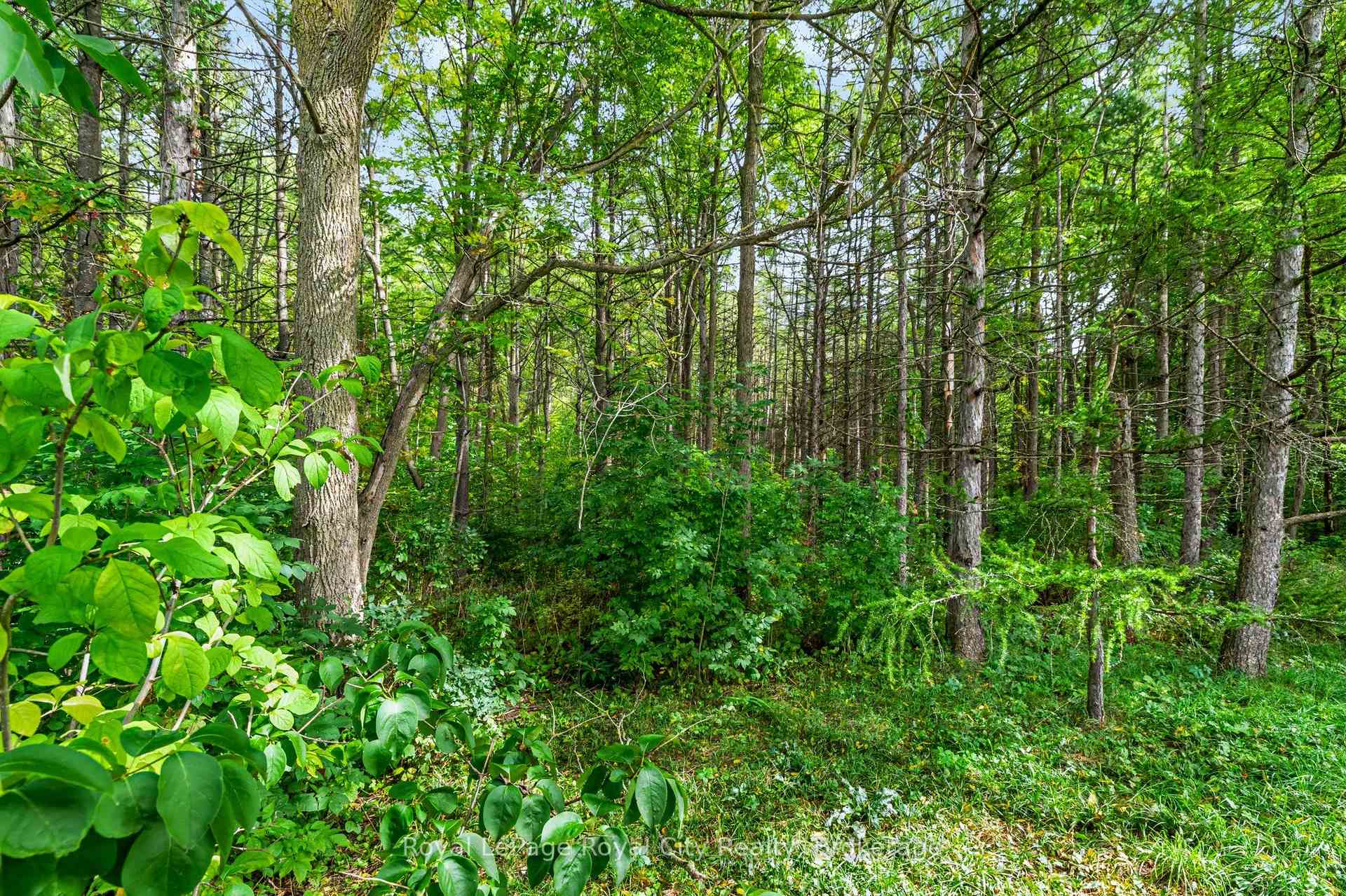 Photo 35 of 142 Milne Place, Guelph/Eramosa, Rockwood — HOMEH
