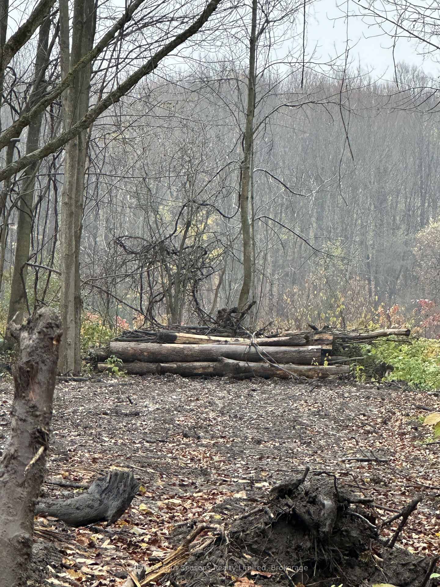 Photo 11 of Lot 9 Concession 11 S, Meaford — HOMEH