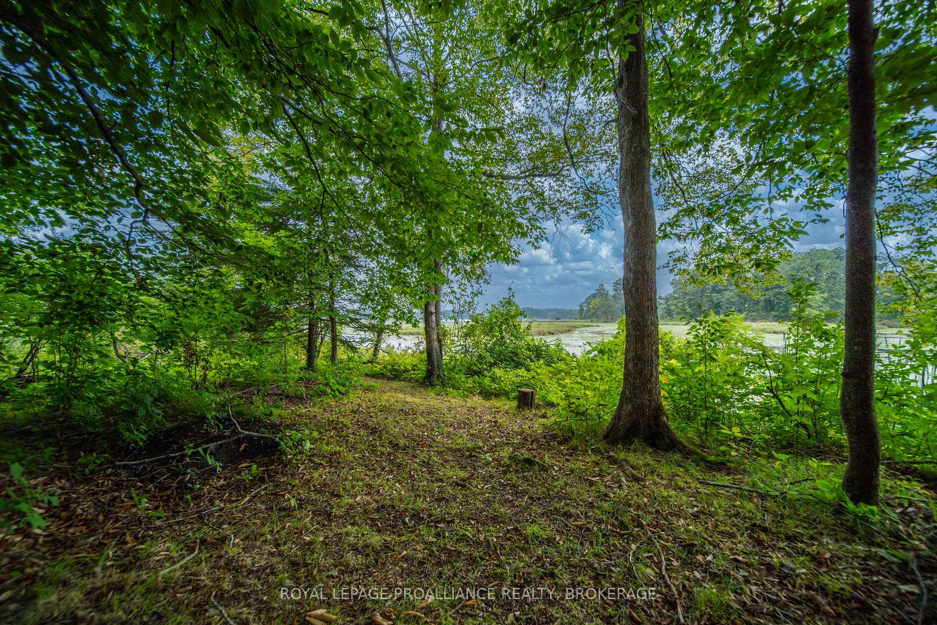 Photo 39 of 4781 Wilmer Road, South Frontenac, Frontenac South — HOMEH