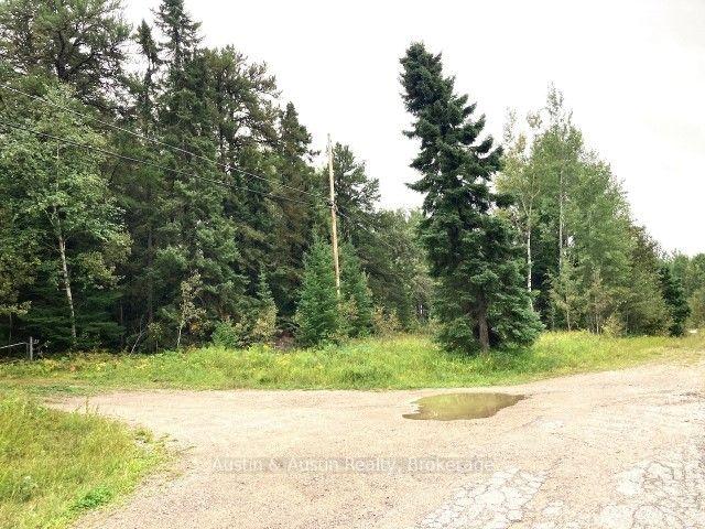 Photo 40 of 77 Bedworth Road, Dryden, Barclay — HOMEH