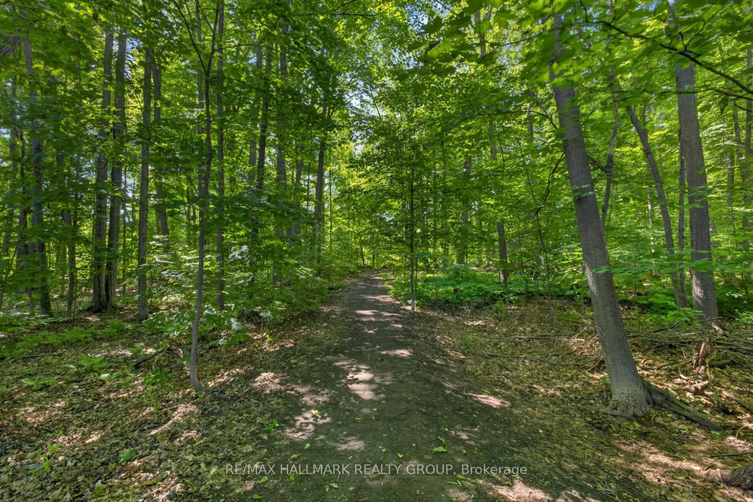 Photo 33 of 856 Norton Avenue, Ottawa, Queensway Terrace North — HOMEH