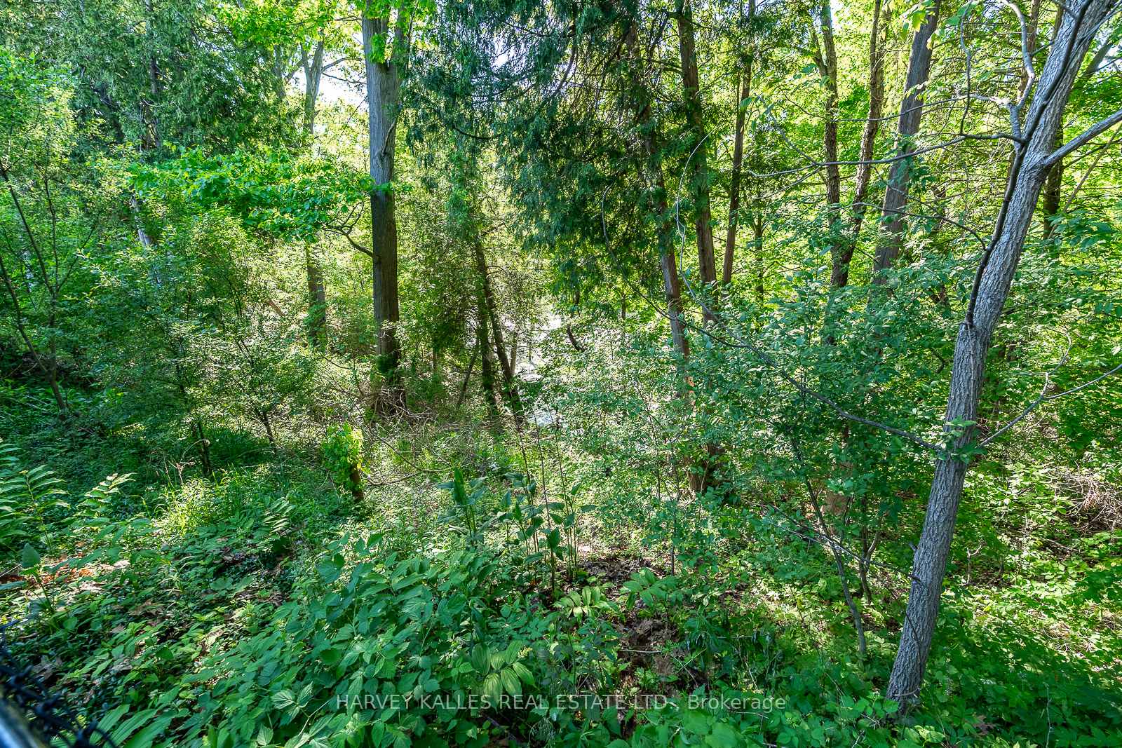 Photo 43 of 1033 Fair Birch Drive, Mississauga, Lorne Park — HOMEH