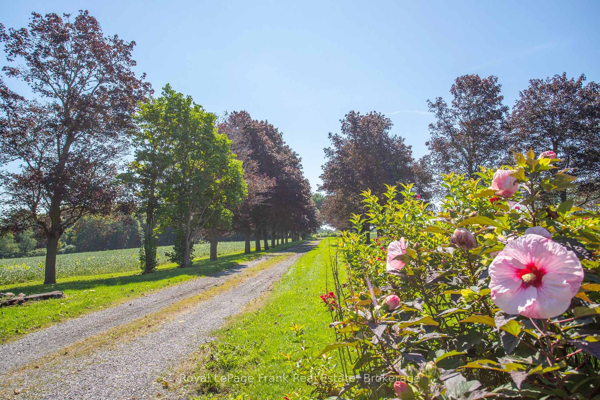 Photo 20 of 1350 4Th Line Road, Port Hope, Rural Port Hope — HOMEH