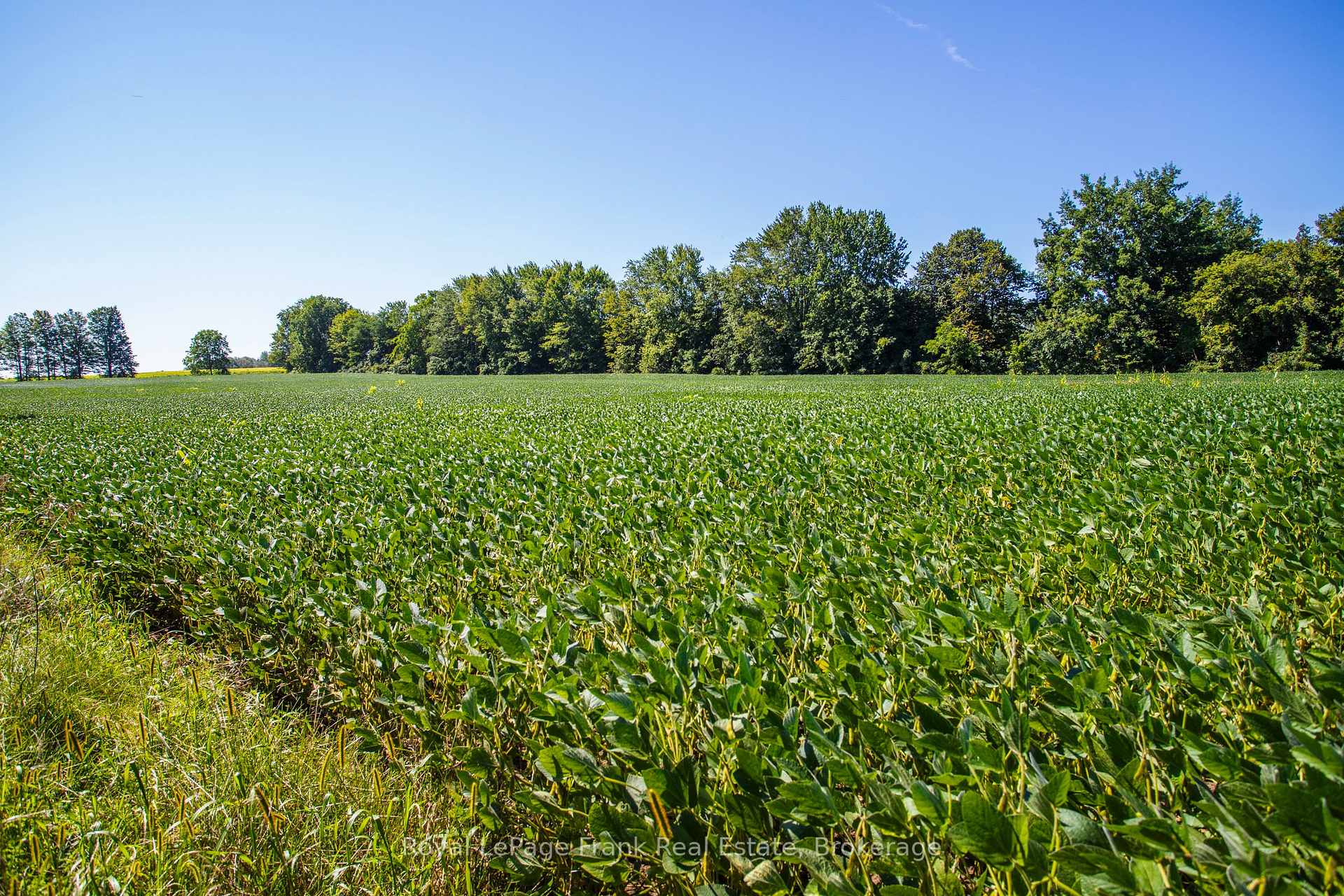 Photo 46 of 1350 4Th Line Road, Port Hope, Rural Port Hope — HOMEH