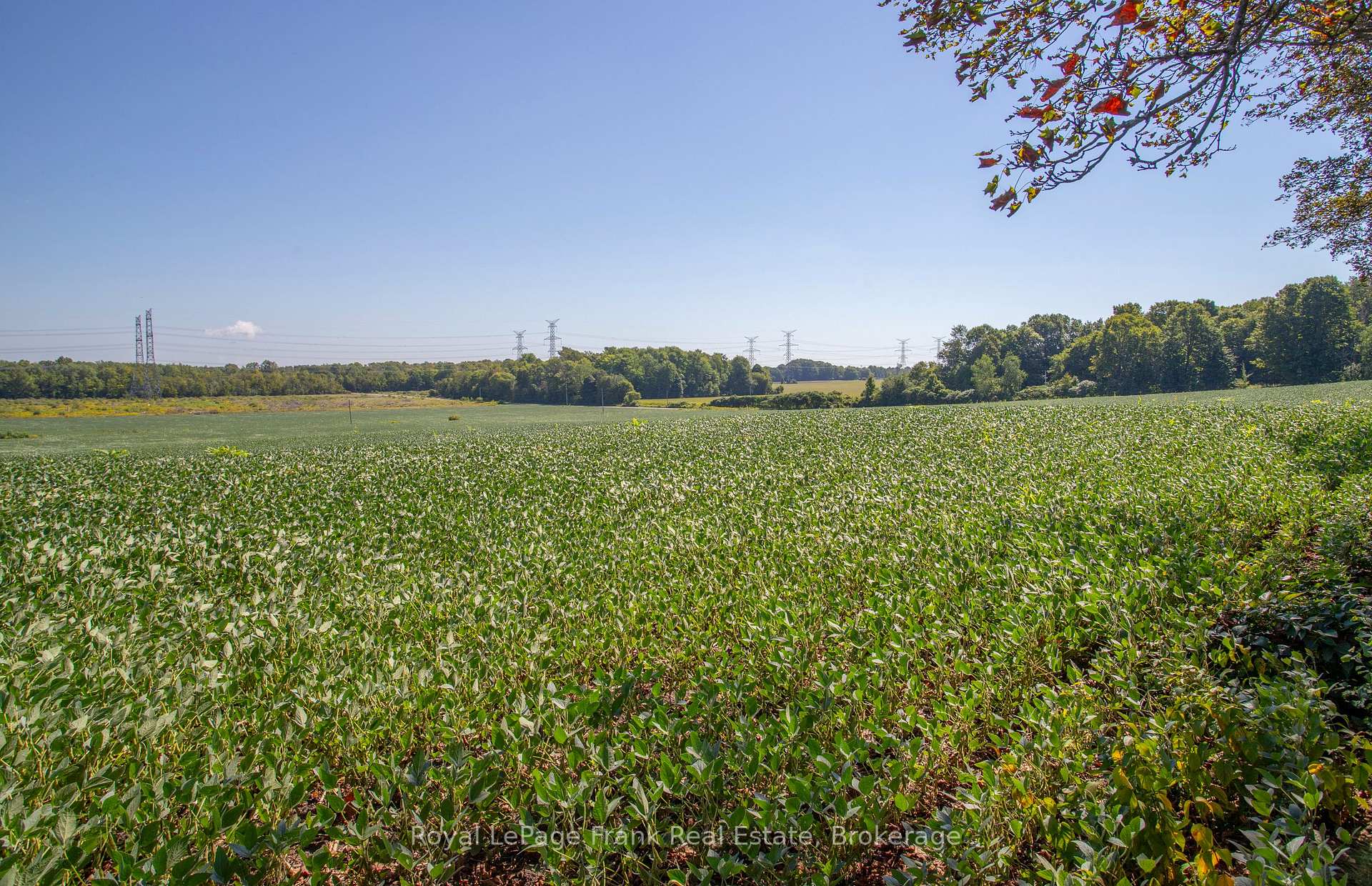 Photo 47 of 1350 4Th Line Road, Port Hope, Rural Port Hope — HOMEH