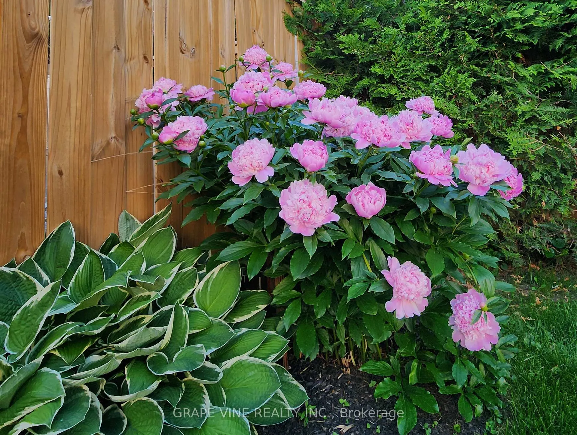 Photo 36 of 3 Thresher Avenue, Ottawa, Stittsville (Central) — HOMEH