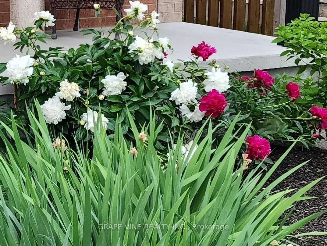 Photo 37 of 3 Thresher Avenue, Ottawa, Stittsville (Central) — HOMEH