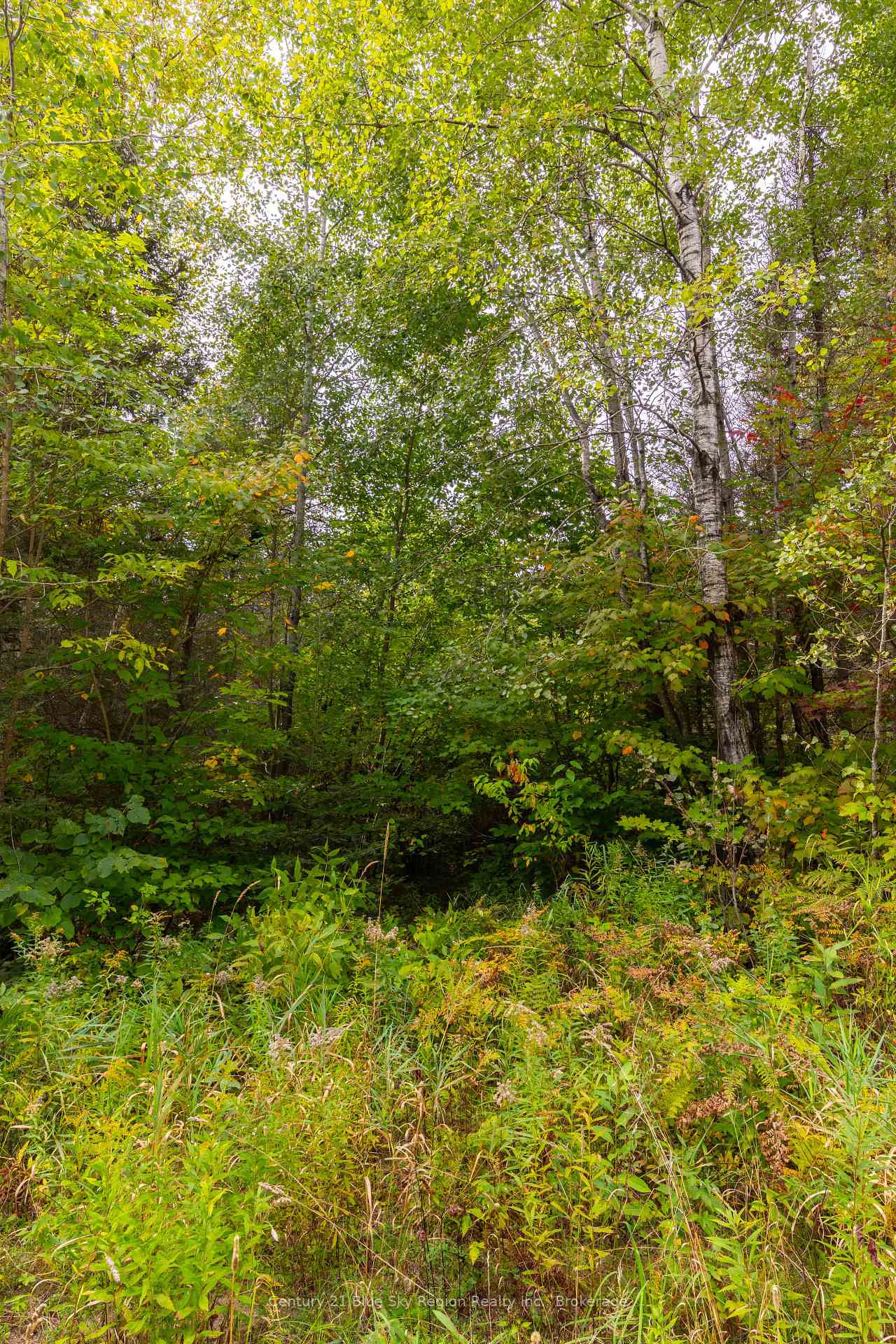 Photo 8 of 487 Golf Course Road, Chisholm — HOMEH