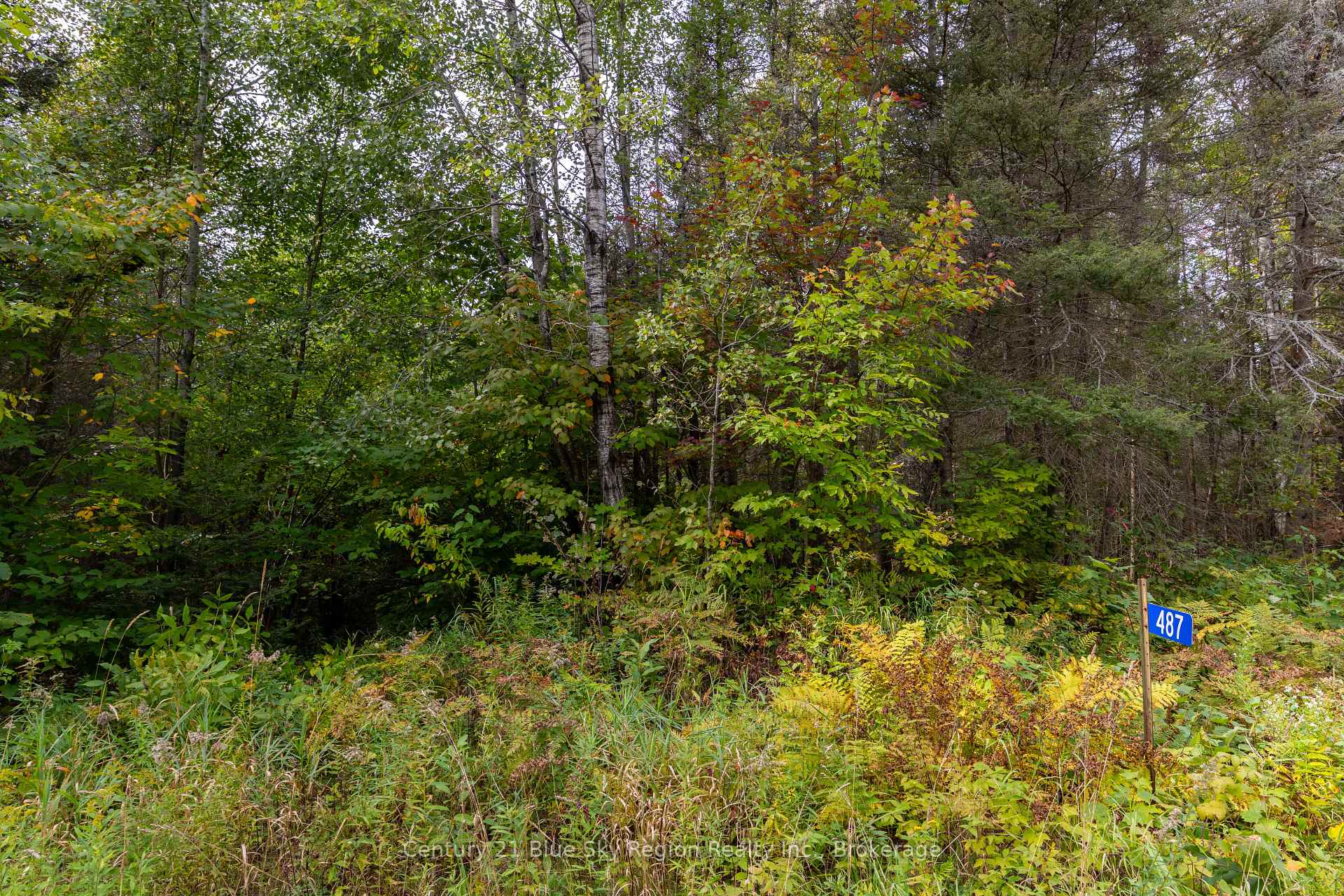 Photo 9 of 487 Golf Course Road, Chisholm — HOMEH