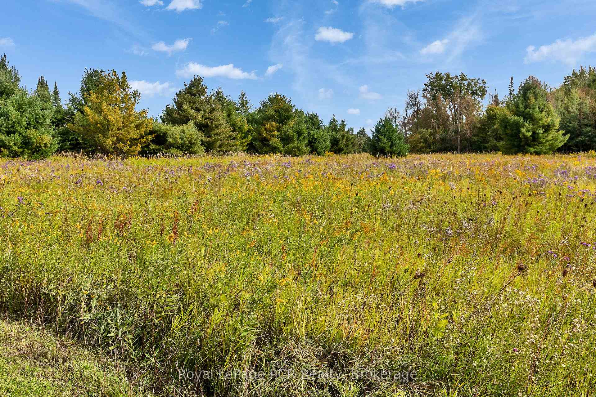 Photo 46 of 397061 5th Line, Melancthon, Rural Melancthon — HOMEH
