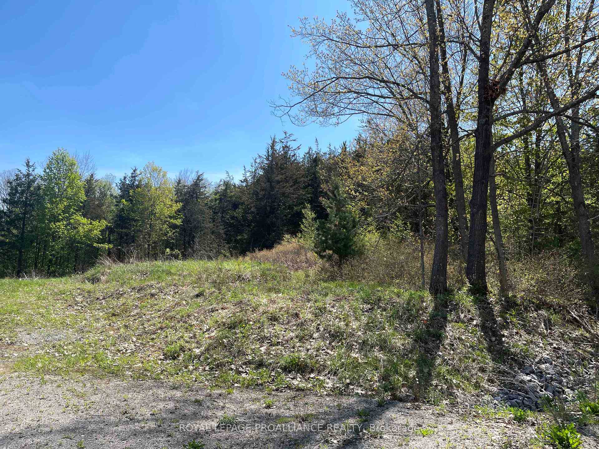 Photo 6 of 430 Beaver Road, Trent Hills, Rural Trent Hills — HOMEH