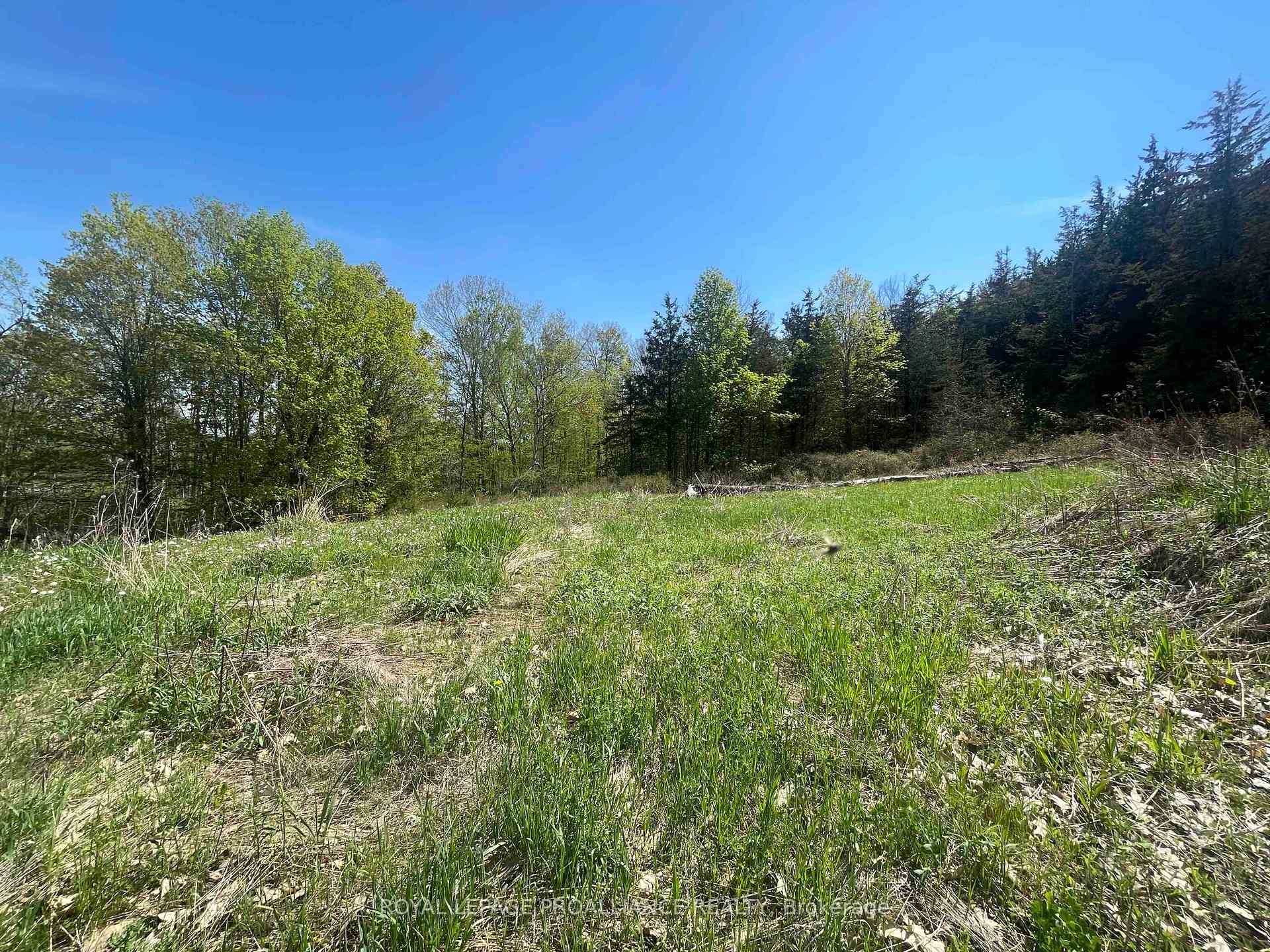 Photo 9 of 430 Beaver Road, Trent Hills, Rural Trent Hills — HOMEH